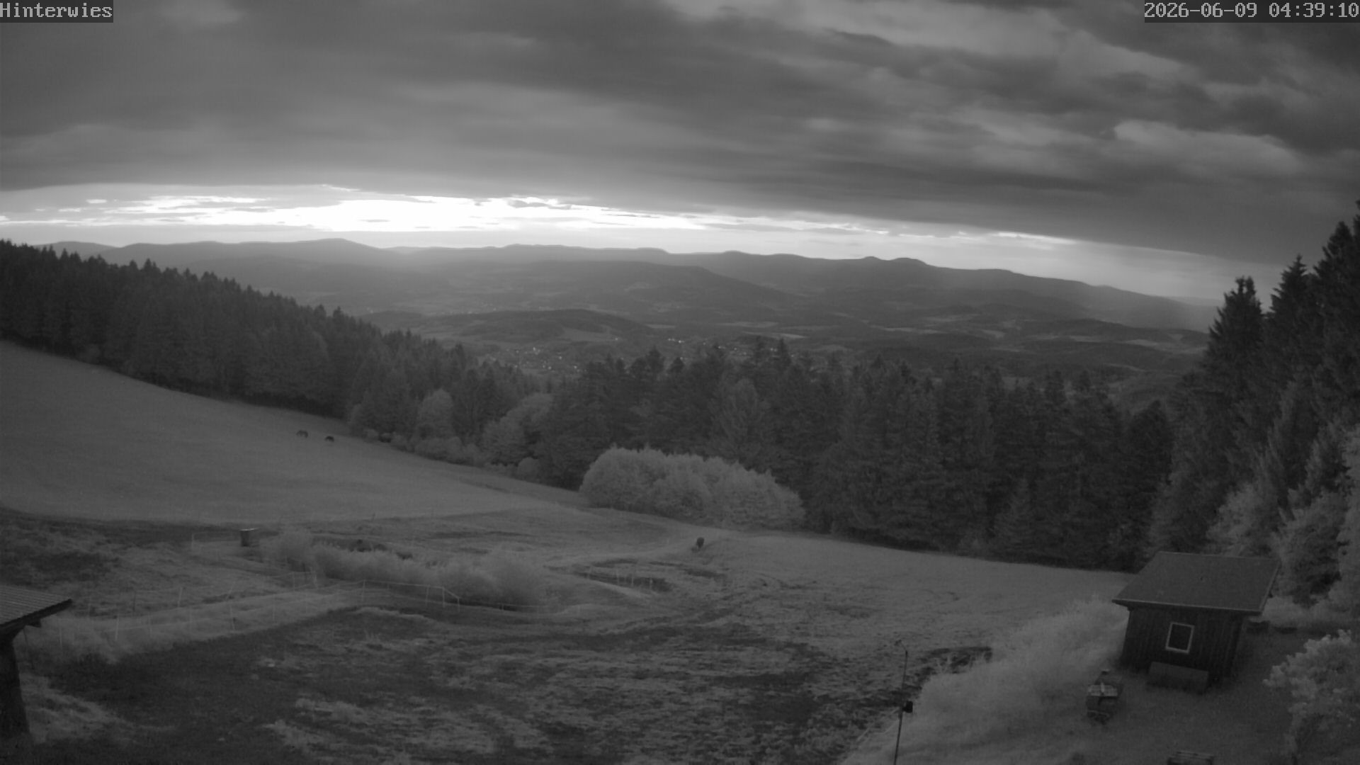 Archiv Foto Webcam Wetterstation Sankt Englmar-Hinterwies
