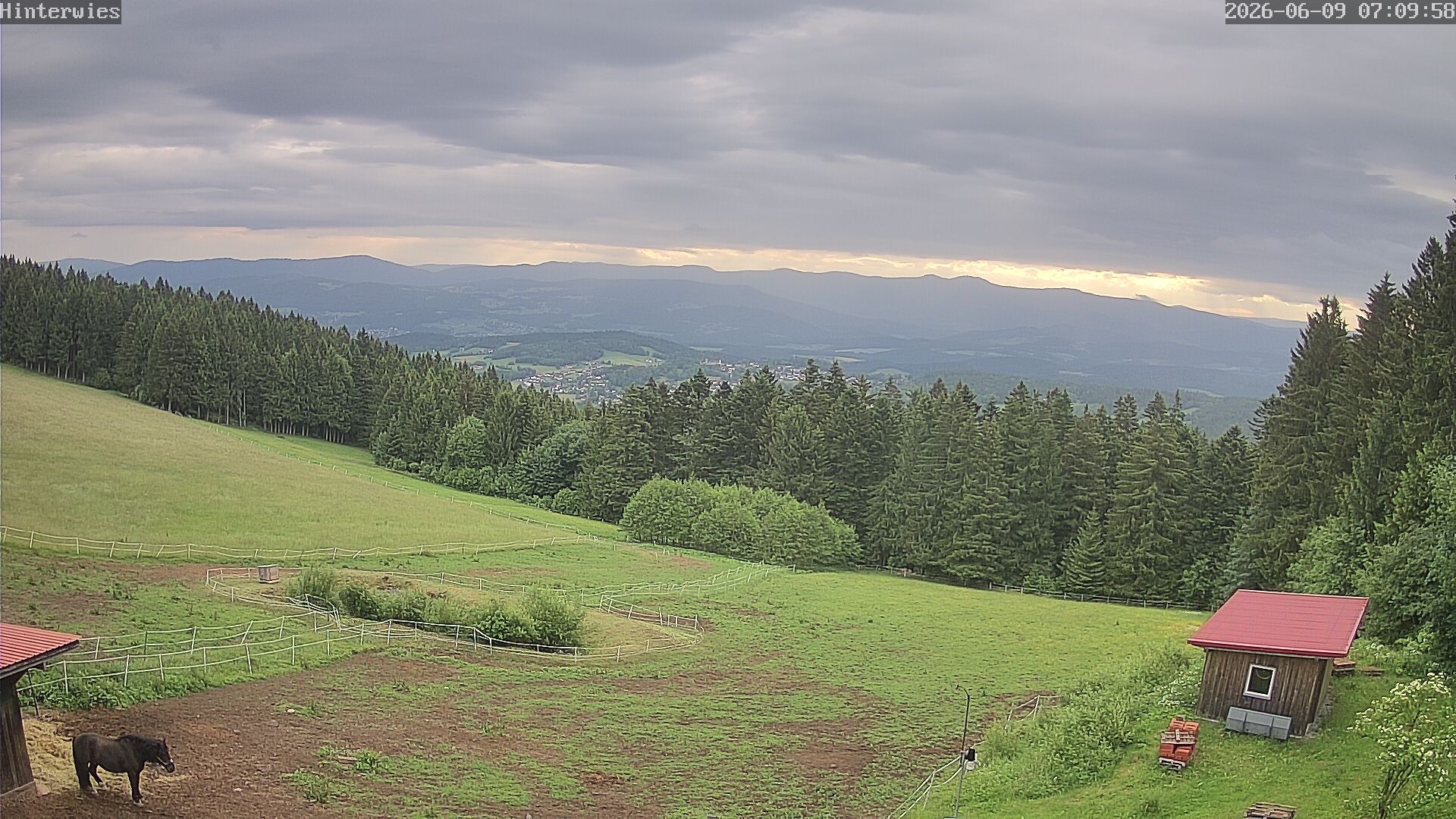 Archiv Foto Webcam Wetterstation Sankt Englmar-Hinterwies