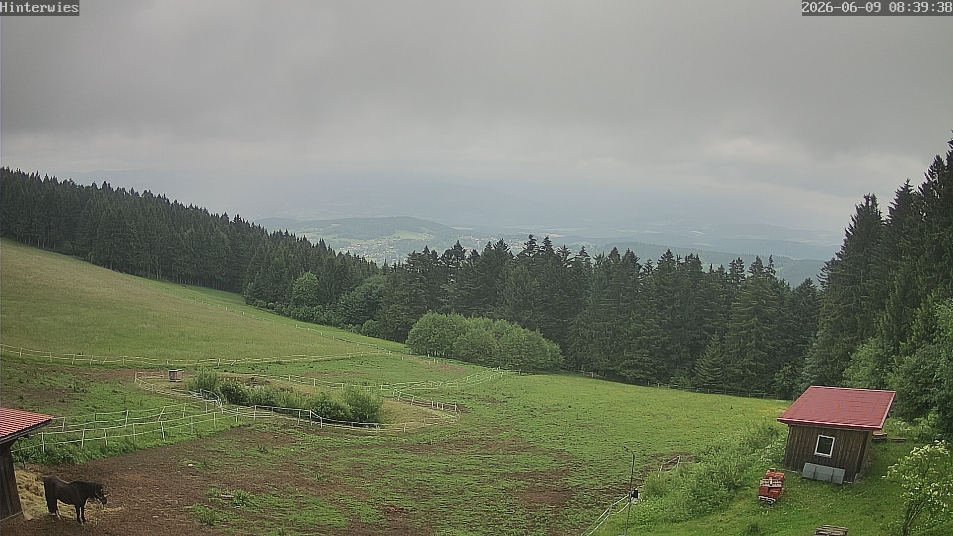 Archiv Foto Webcam Wetterstation Sankt Englmar-Hinterwies