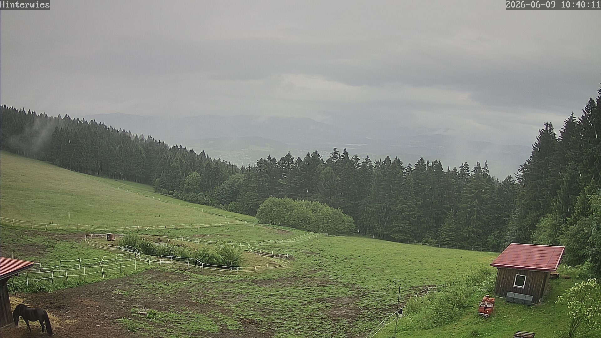 Archiv Foto Webcam Wetterstation Sankt Englmar-Hinterwies