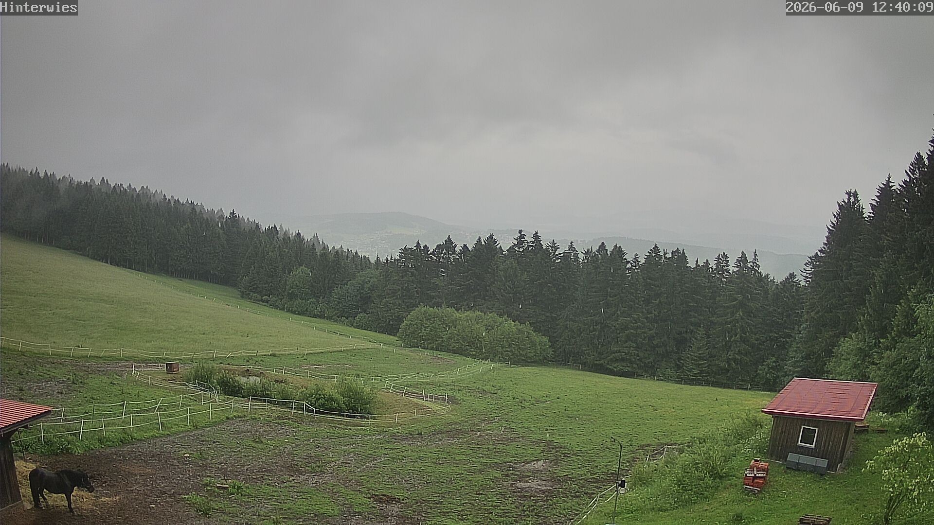 Archiv Foto Webcam Wetterstation Sankt Englmar-Hinterwies
