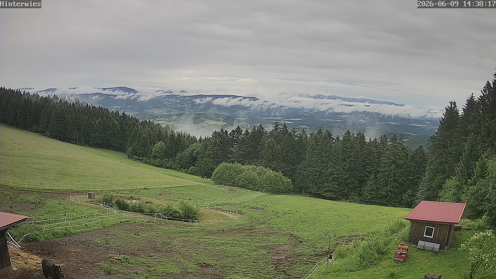 Archiv Foto Webcam Wetterstation Sankt Englmar-Hinterwies