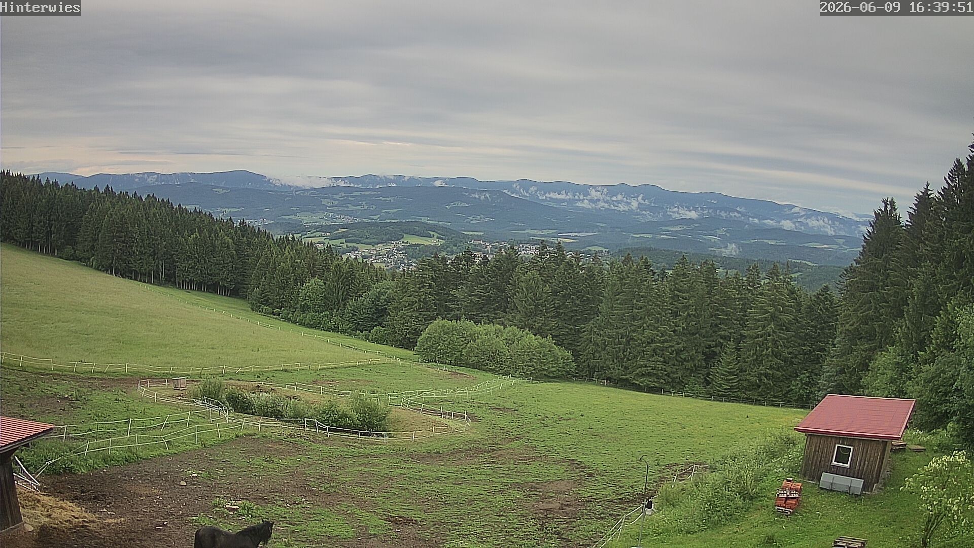 Archiv Foto Webcam Wetterstation Sankt Englmar-Hinterwies