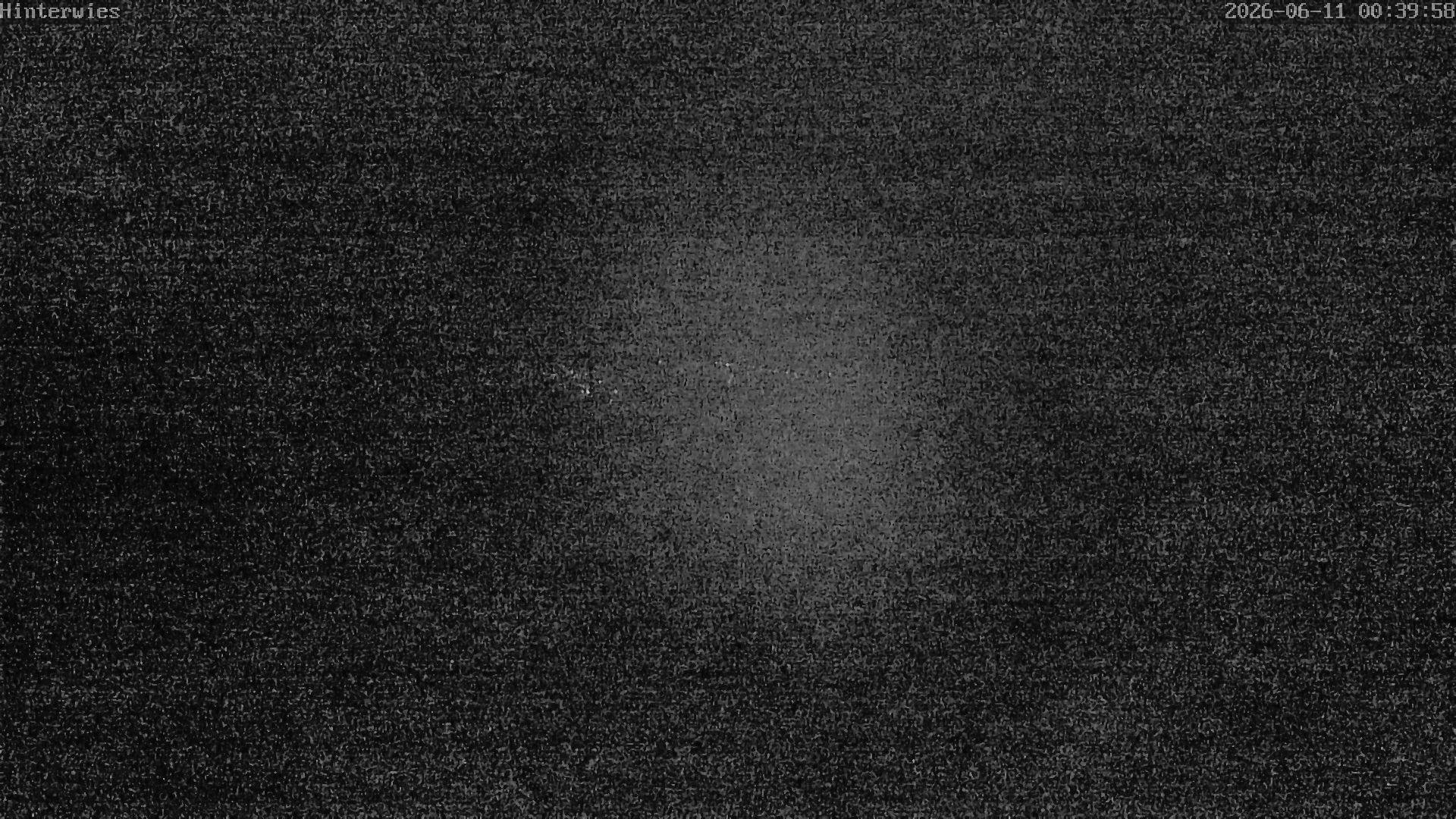 Archiv Foto Webcam Wetterstation Sankt Englmar-Hinterwies
