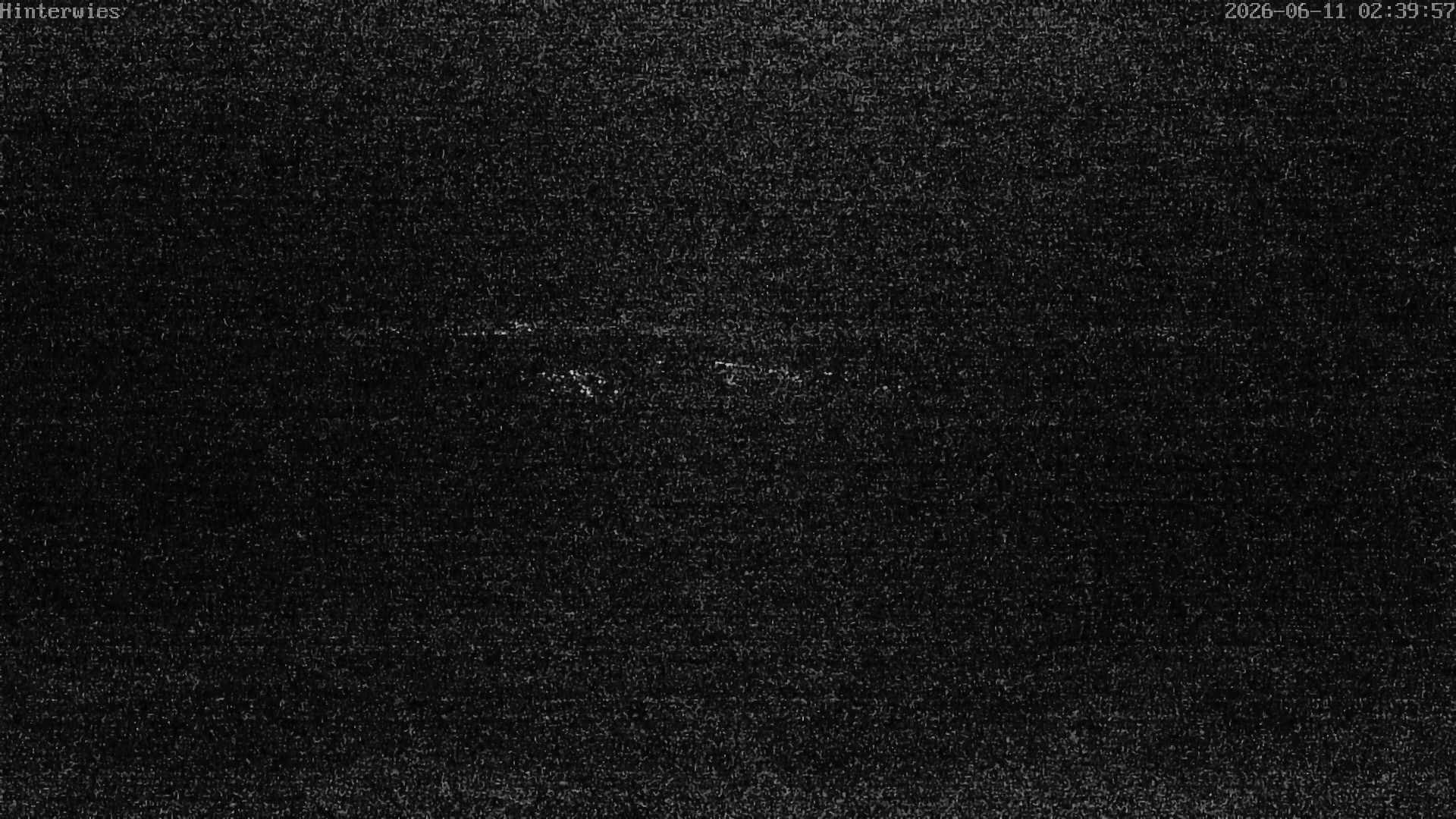 Archiv Foto Webcam Wetterstation Sankt Englmar-Hinterwies