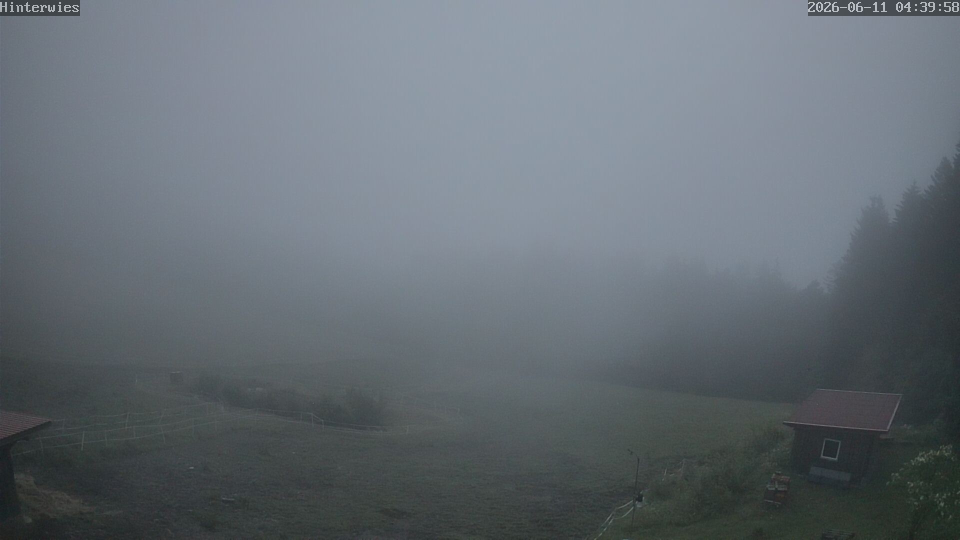 Archiv Foto Webcam Wetterstation Sankt Englmar-Hinterwies