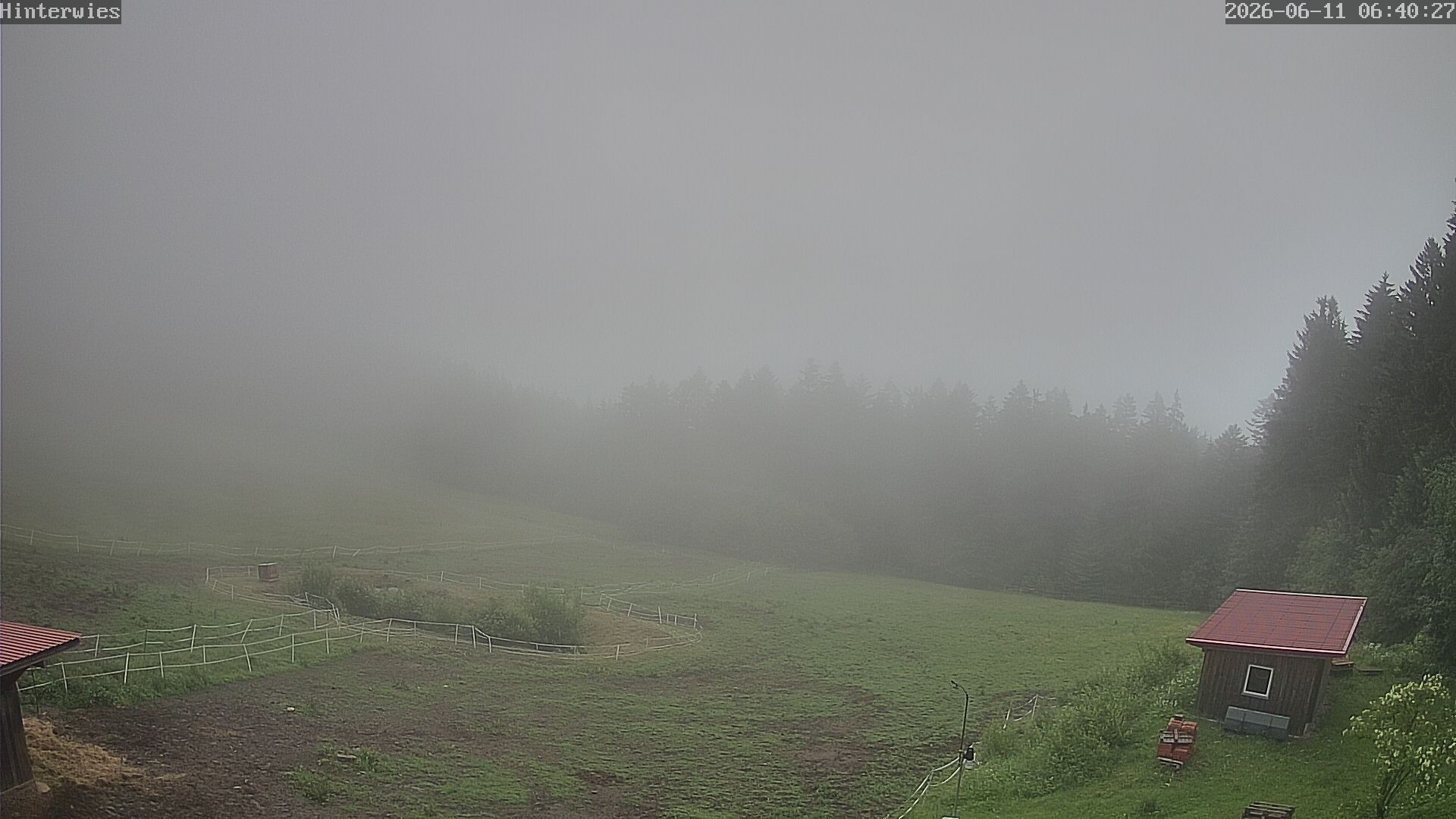Archiv Foto Webcam Wetterstation Sankt Englmar-Hinterwies