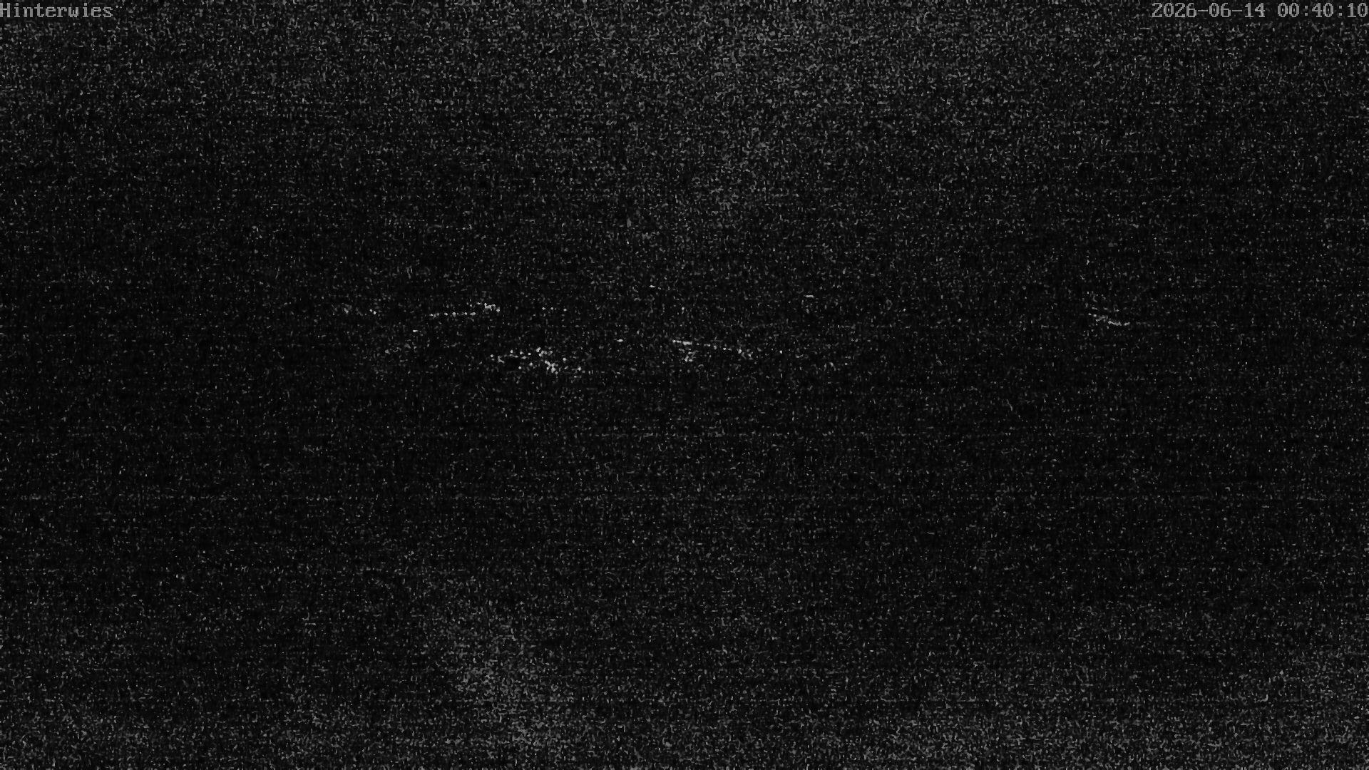 Archiv Foto Webcam Wetterstation Sankt Englmar-Hinterwies