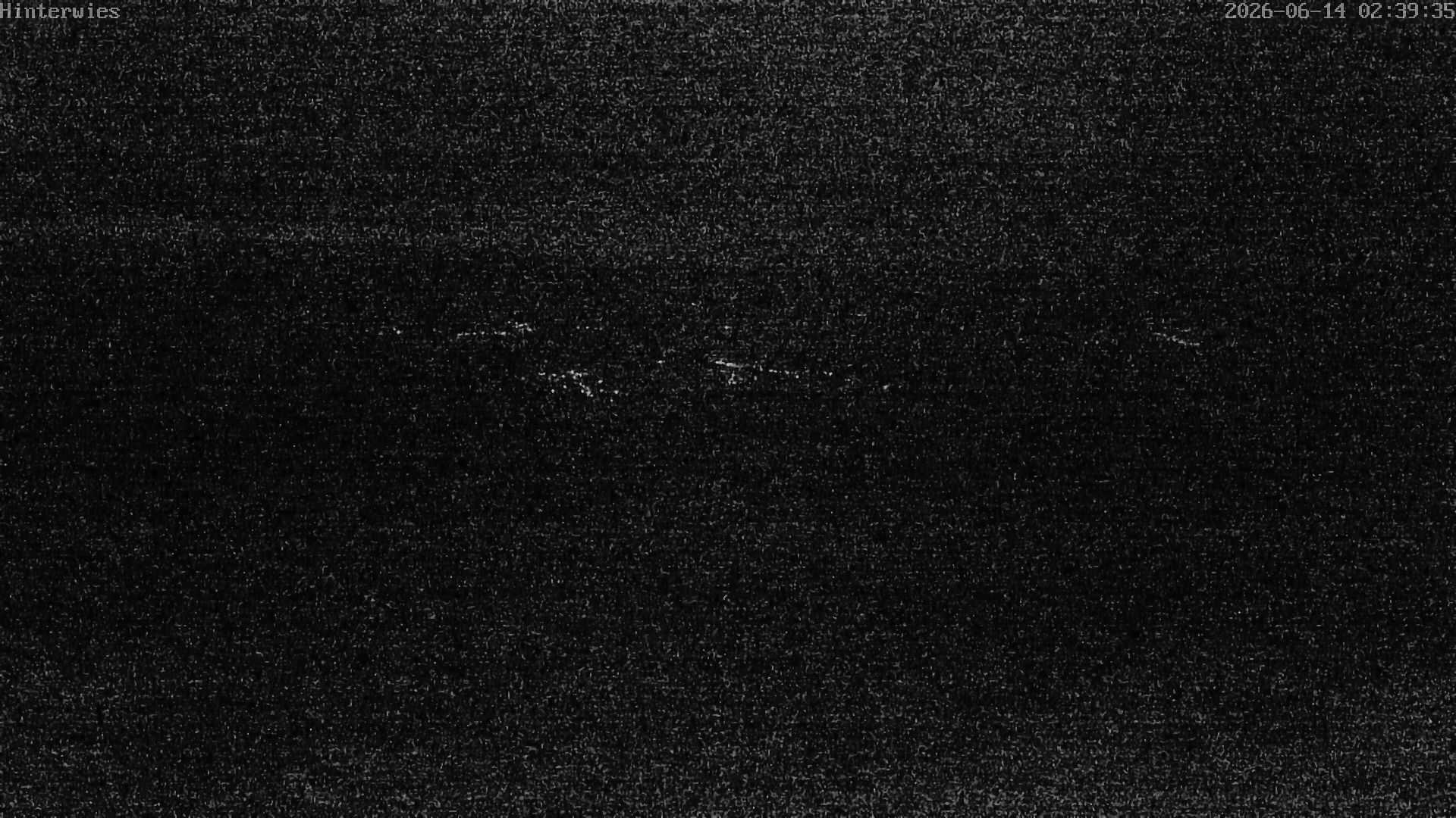 Archiv Foto Webcam Wetterstation Sankt Englmar-Hinterwies