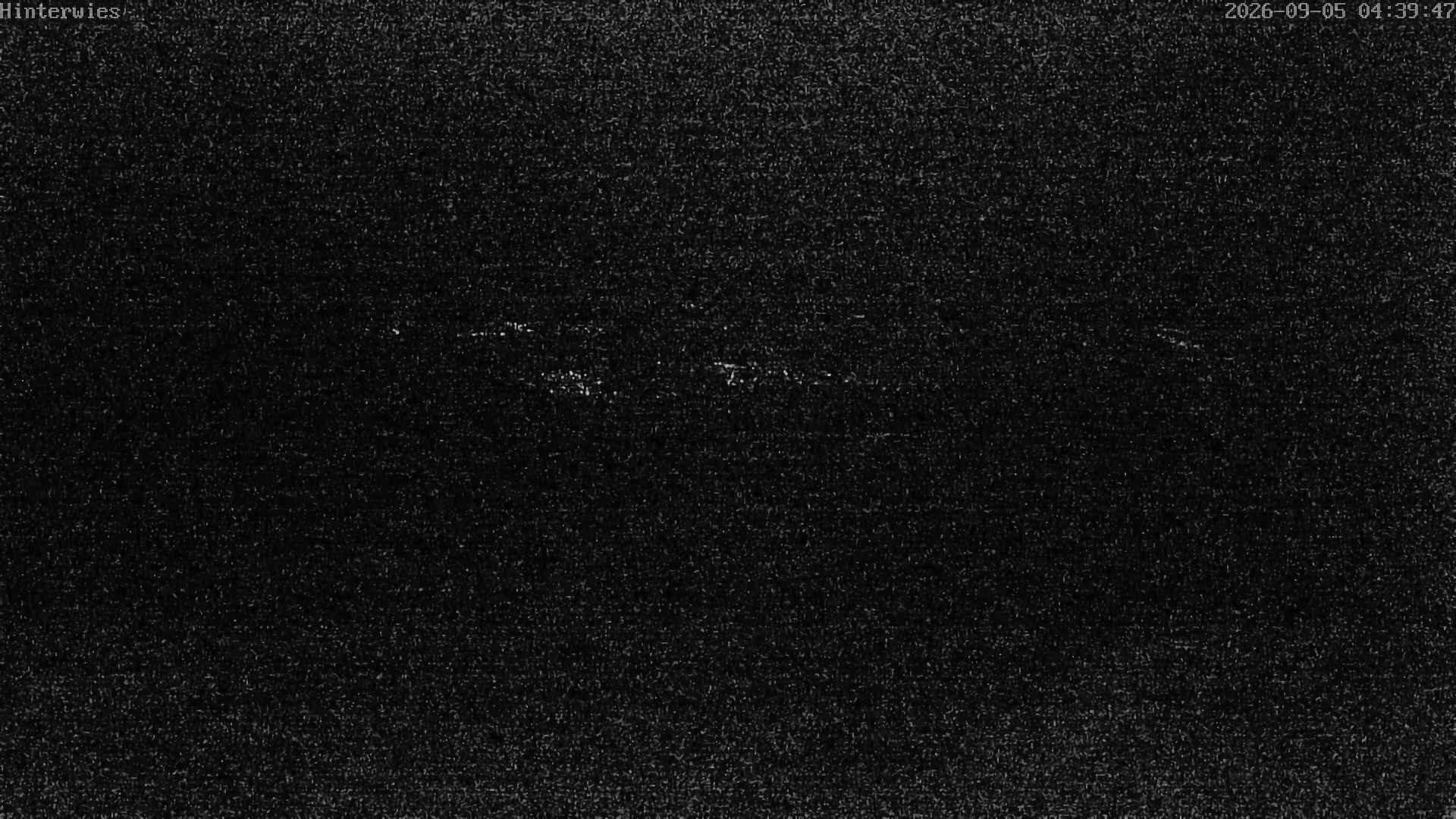 Archiv Foto Webcam Wetterstation Sankt Englmar-Hinterwies