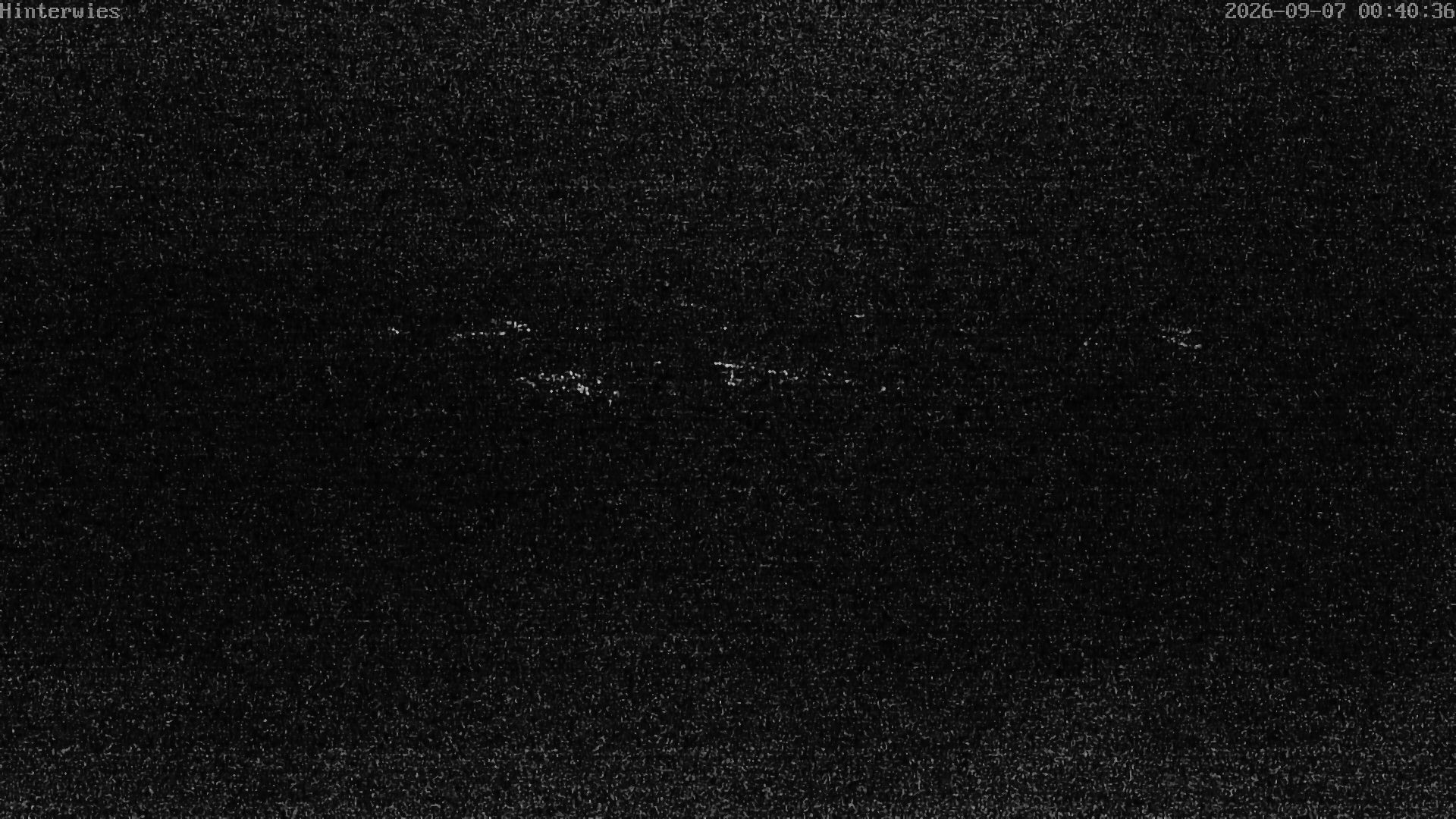 Archiv Foto Webcam Wetterstation Sankt Englmar-Hinterwies