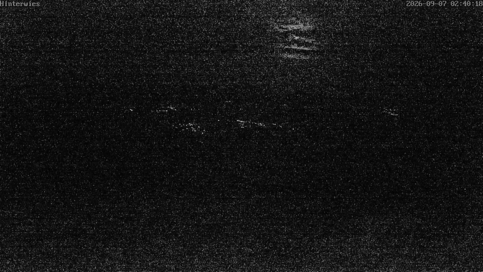 Archiv Foto Webcam Wetterstation Sankt Englmar-Hinterwies