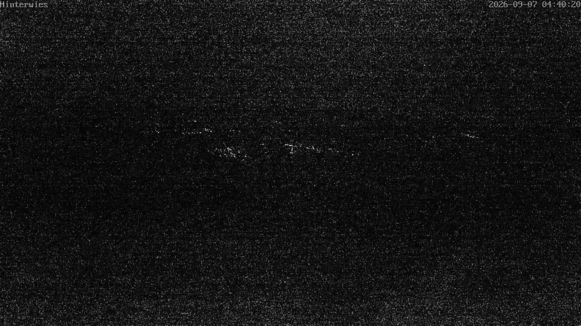Archiv Foto Webcam Wetterstation Sankt Englmar-Hinterwies