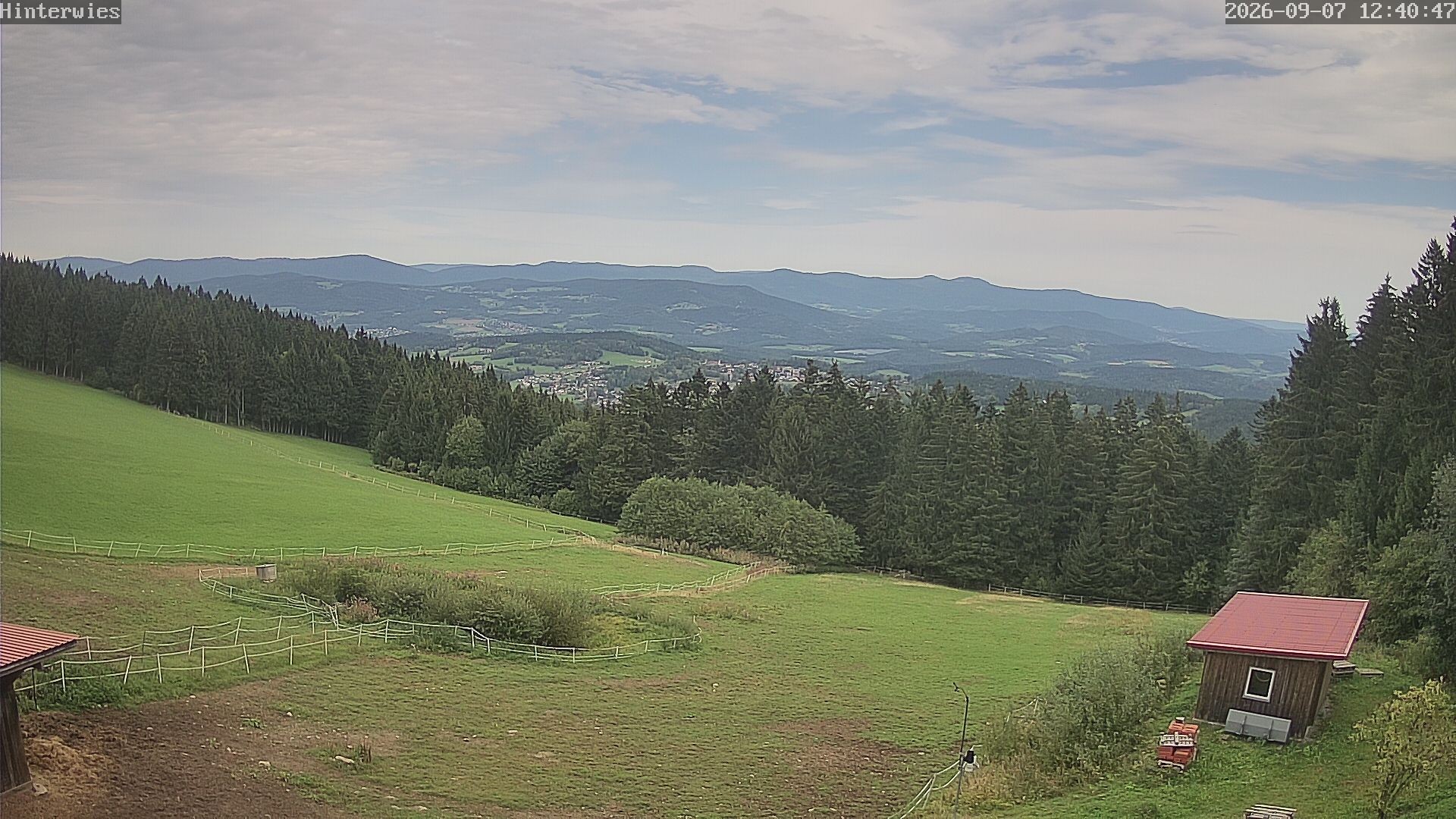 Archiv Foto Webcam Wetterstation Sankt Englmar-Hinterwies