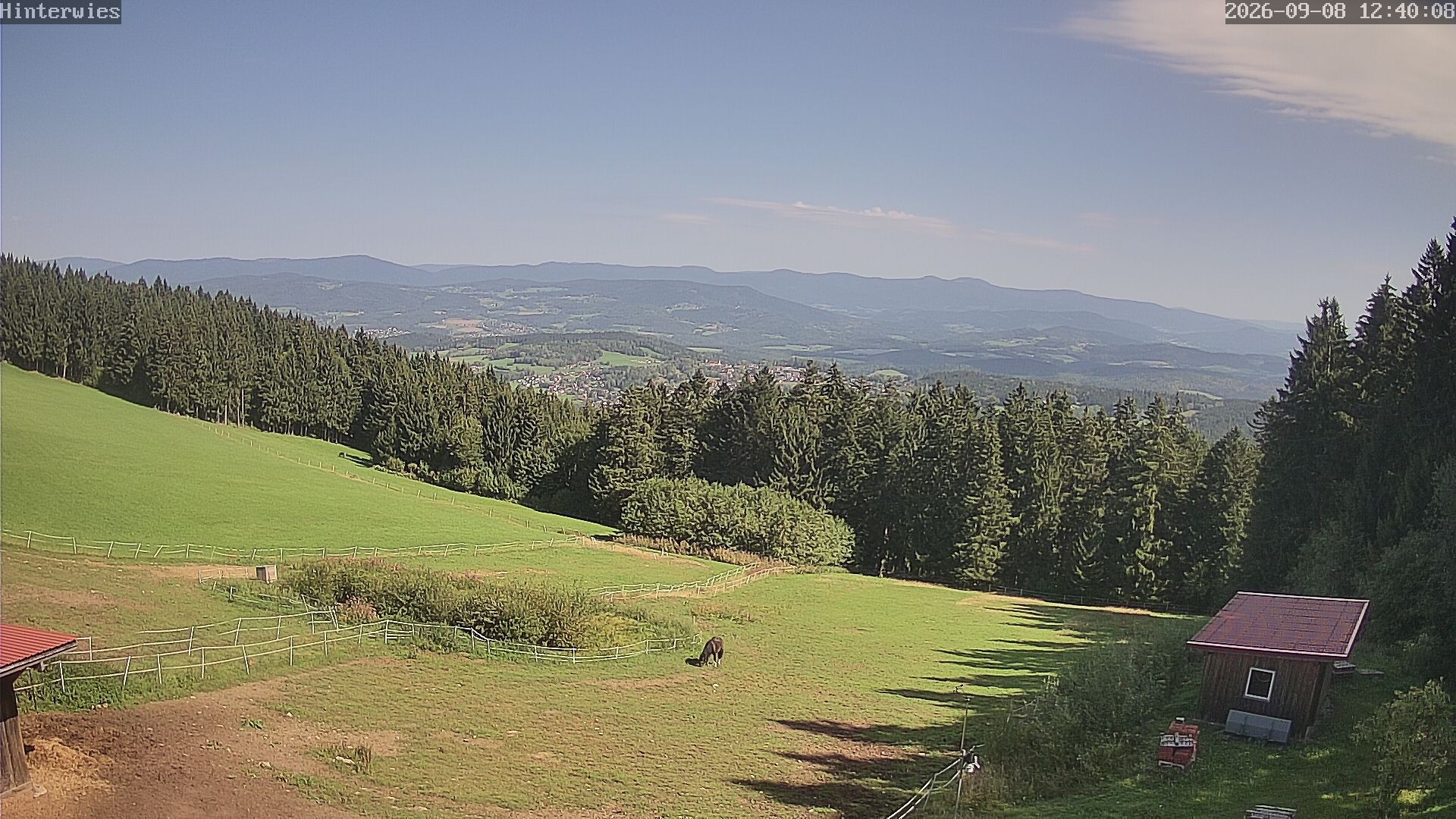 Archiv Foto Webcam Wetterstation Sankt Englmar-Hinterwies