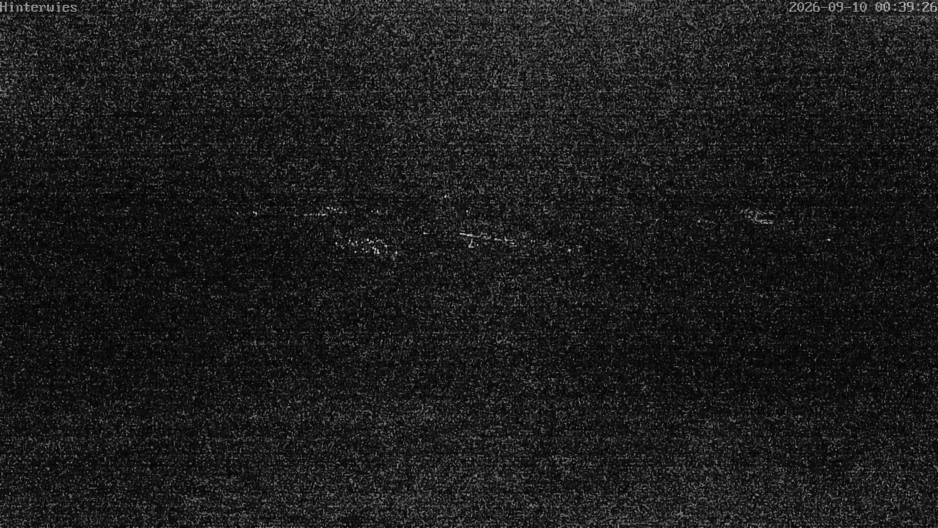 Archiv Foto Webcam Wetterstation Sankt Englmar-Hinterwies