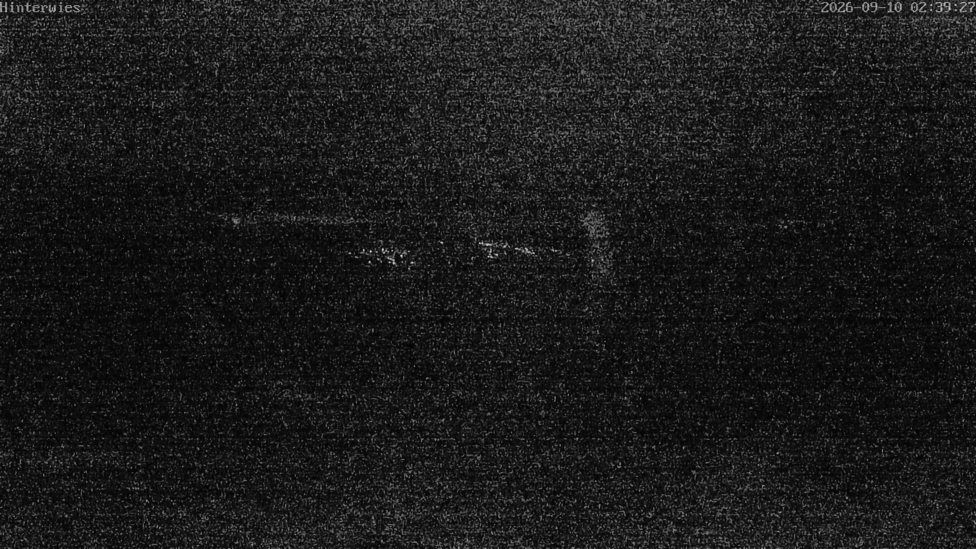 Archiv Foto Webcam Wetterstation Sankt Englmar-Hinterwies