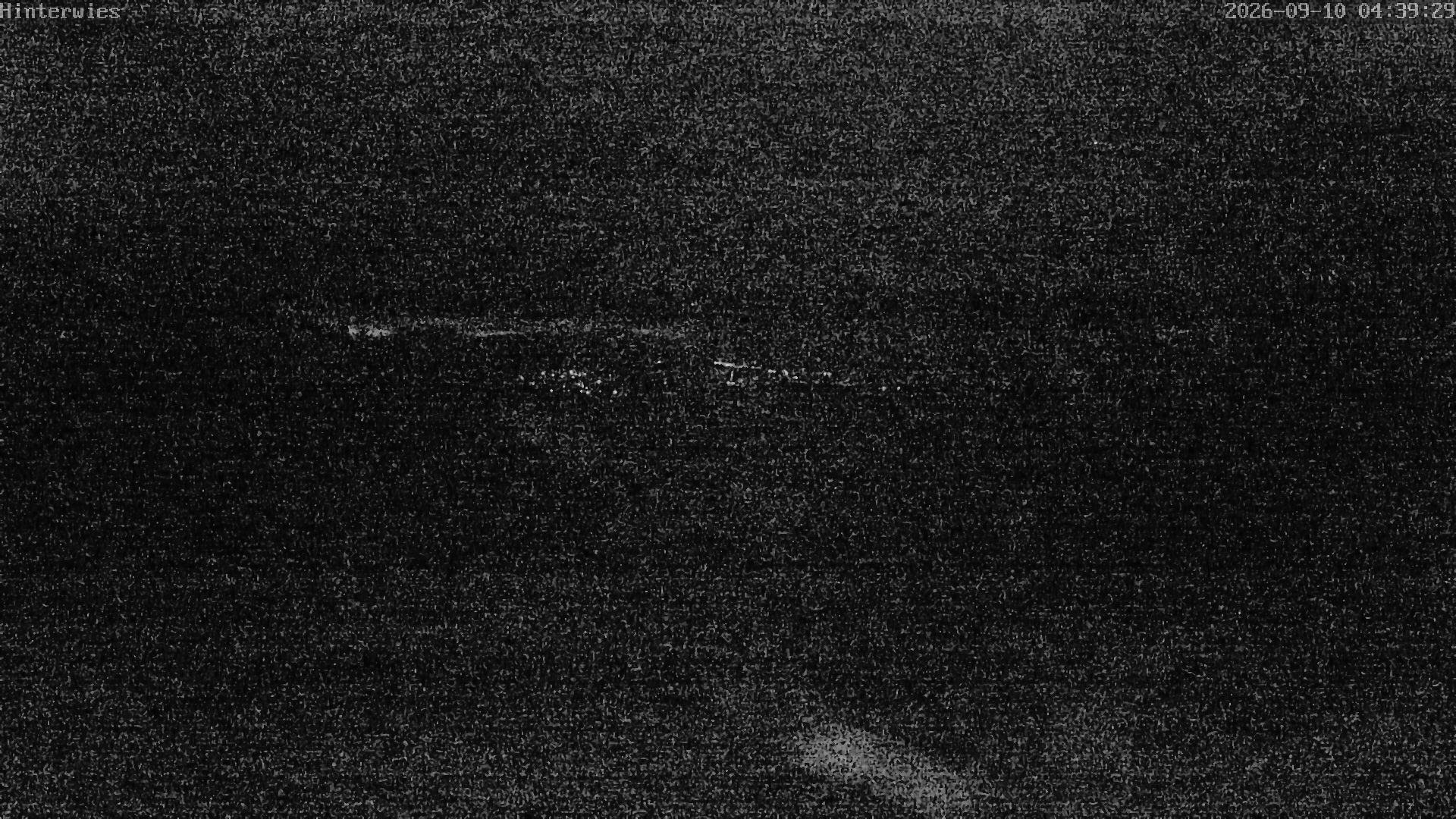 Archiv Foto Webcam Wetterstation Sankt Englmar-Hinterwies