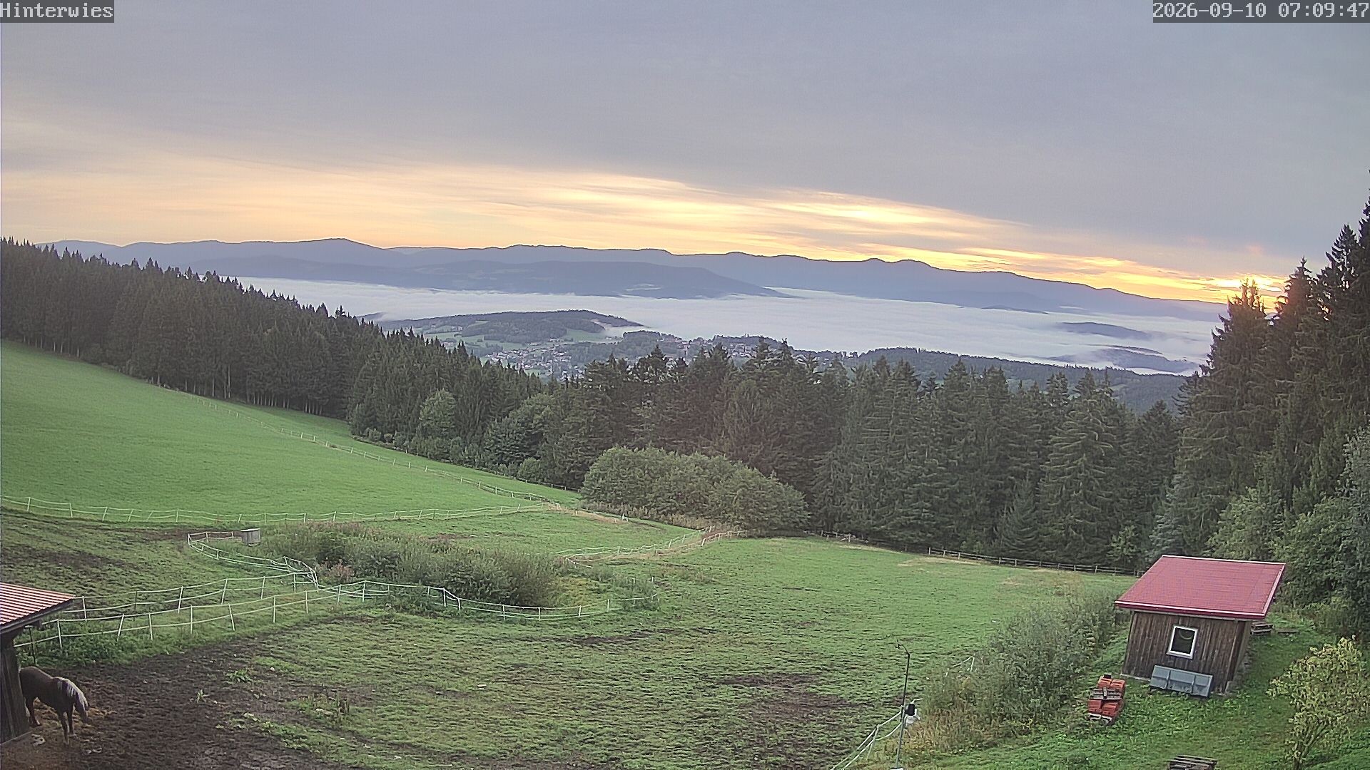 Archiv Foto Webcam Wetterstation Sankt Englmar-Hinterwies