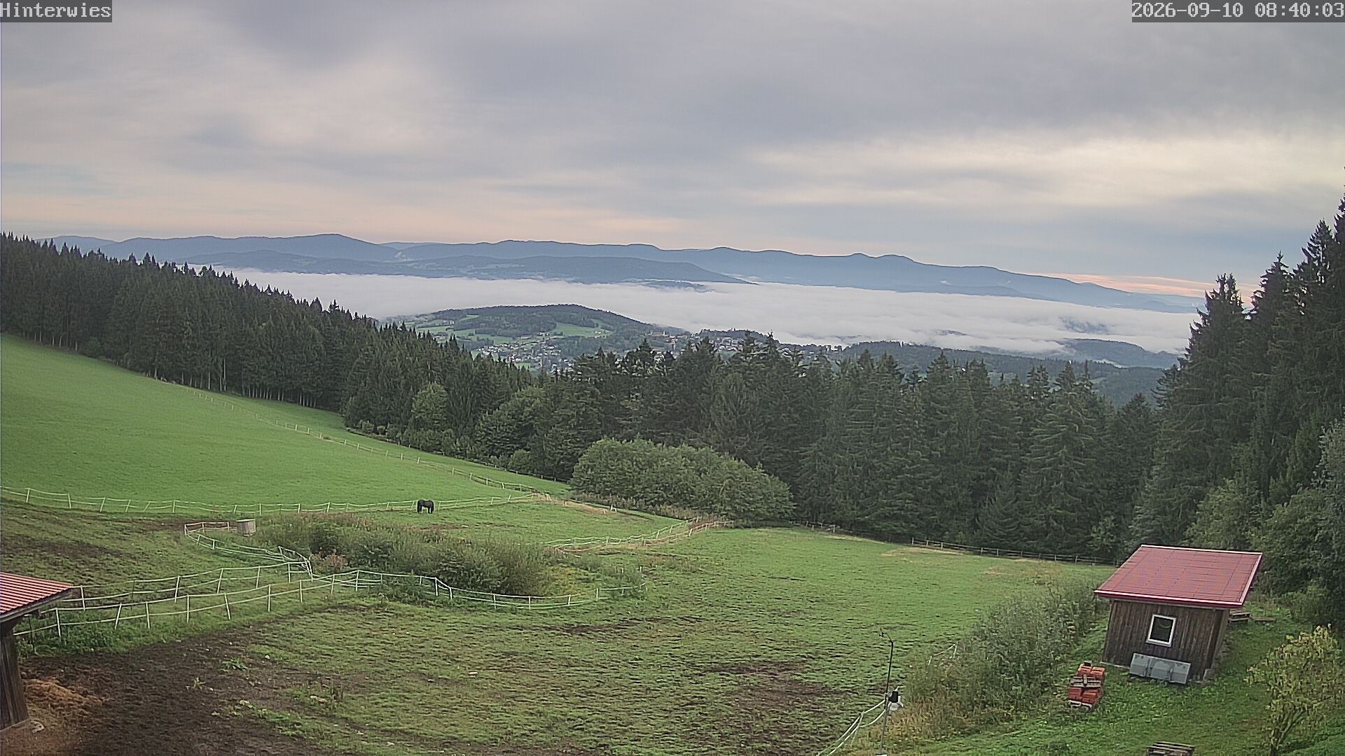 Archiv Foto Webcam Wetterstation Sankt Englmar-Hinterwies