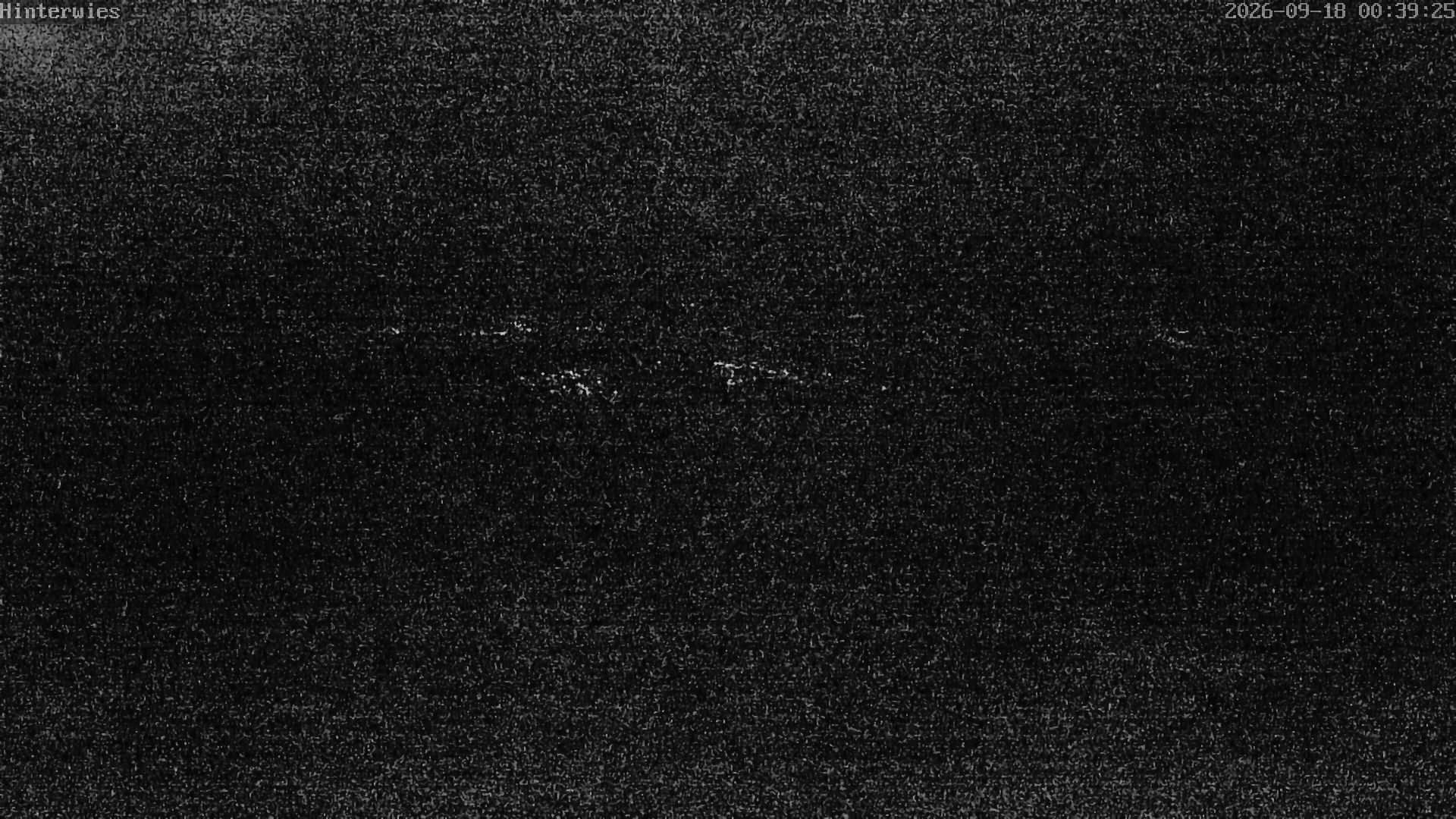 Archiv Foto Webcam Wetterstation Sankt Englmar-Hinterwies