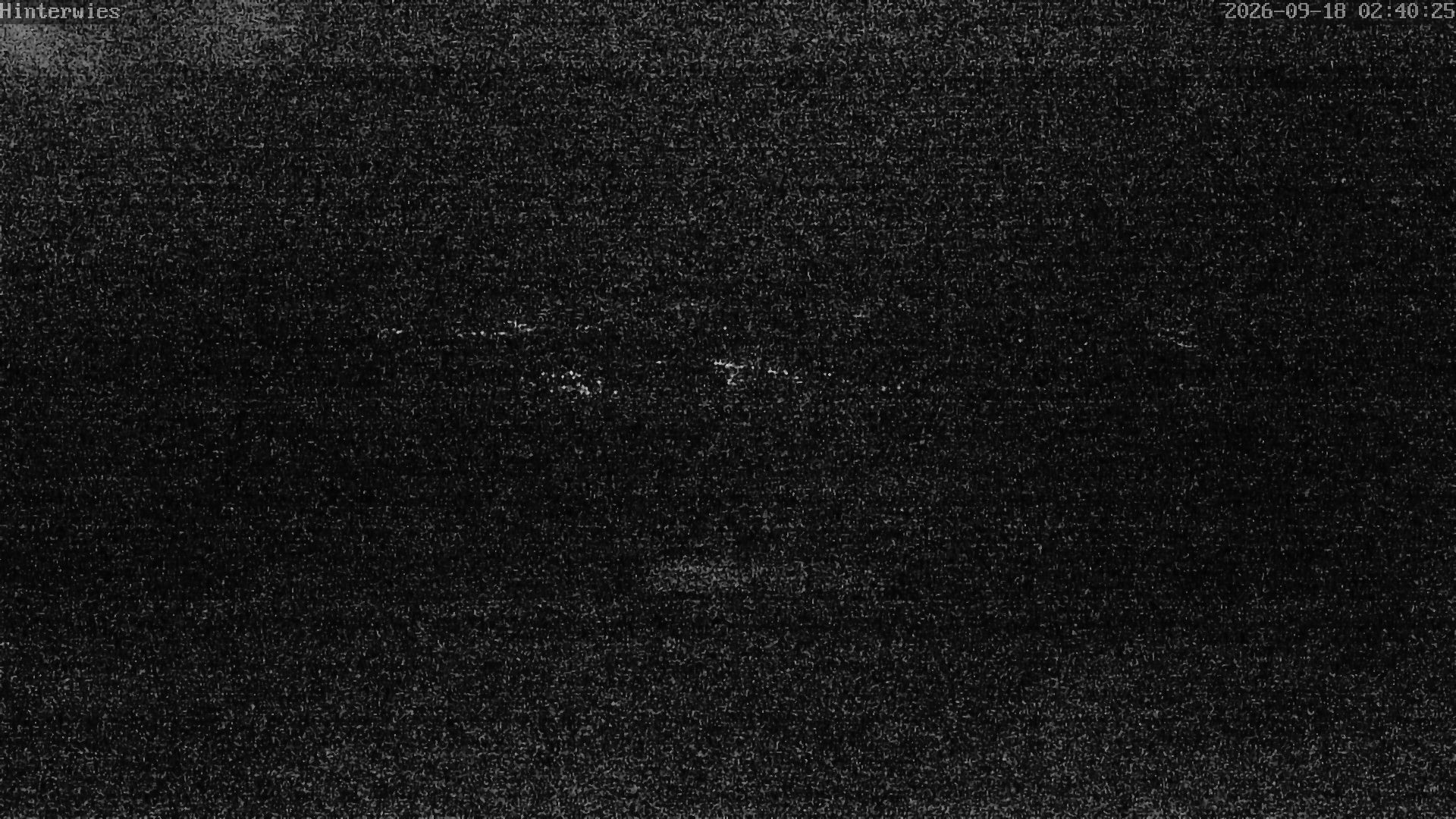Archiv Foto Webcam Wetterstation Sankt Englmar-Hinterwies