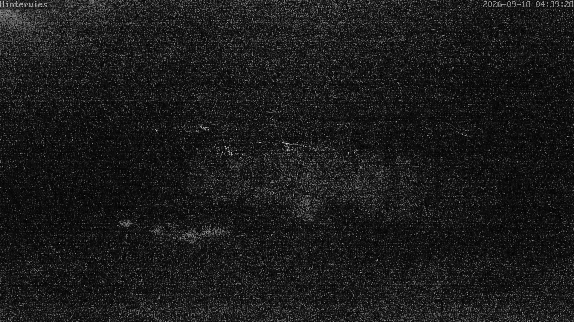 Archiv Foto Webcam Wetterstation Sankt Englmar-Hinterwies