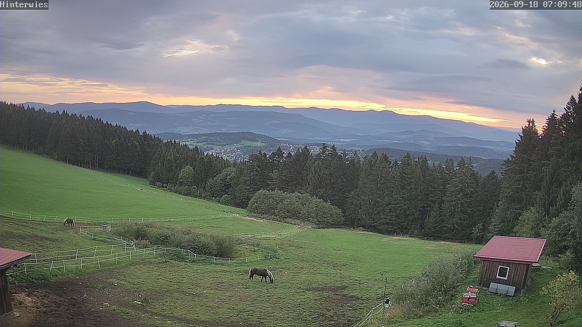 Archiv Foto Webcam Wetterstation Sankt Englmar-Hinterwies