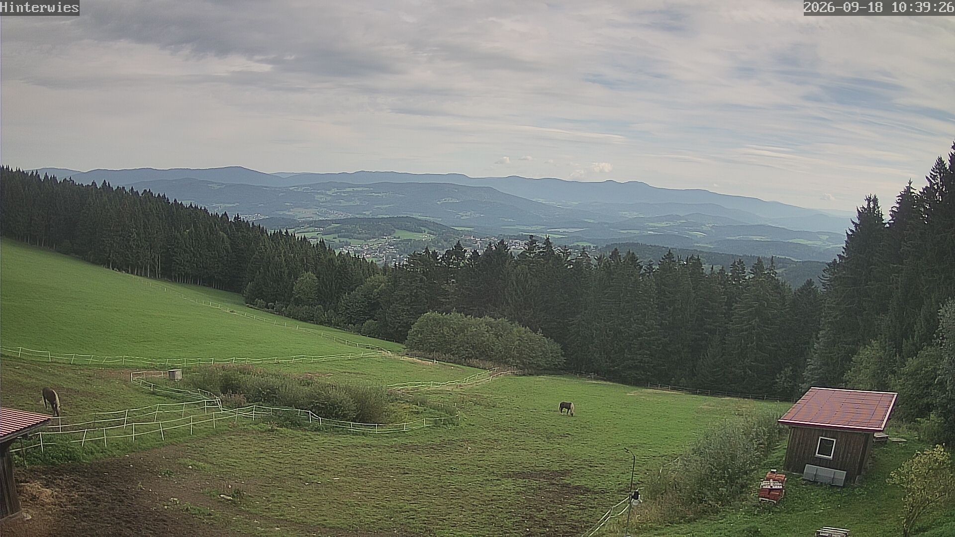Archiv Foto Webcam Wetterstation Sankt Englmar-Hinterwies