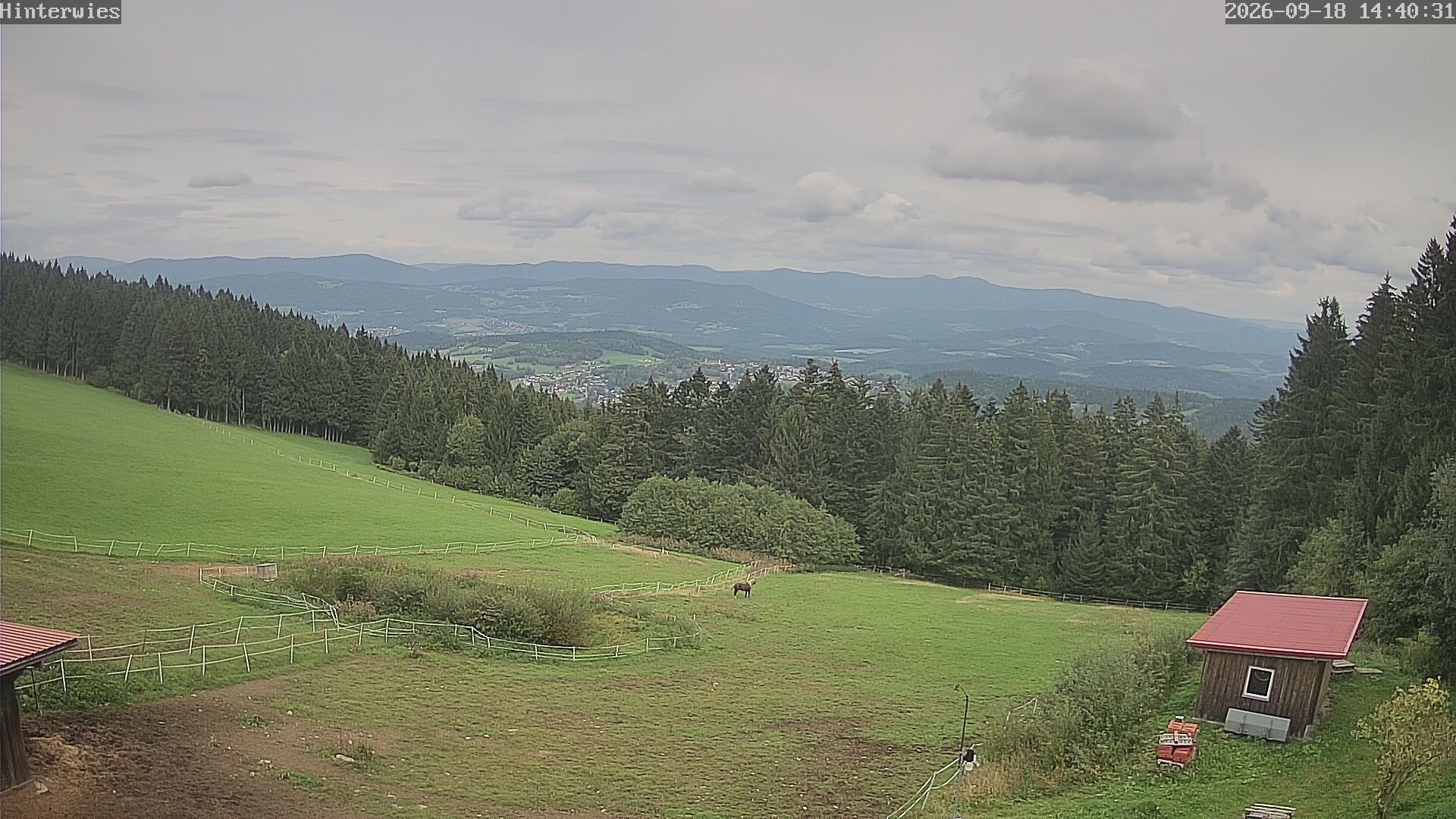 Archiv Foto Webcam Wetterstation Sankt Englmar-Hinterwies