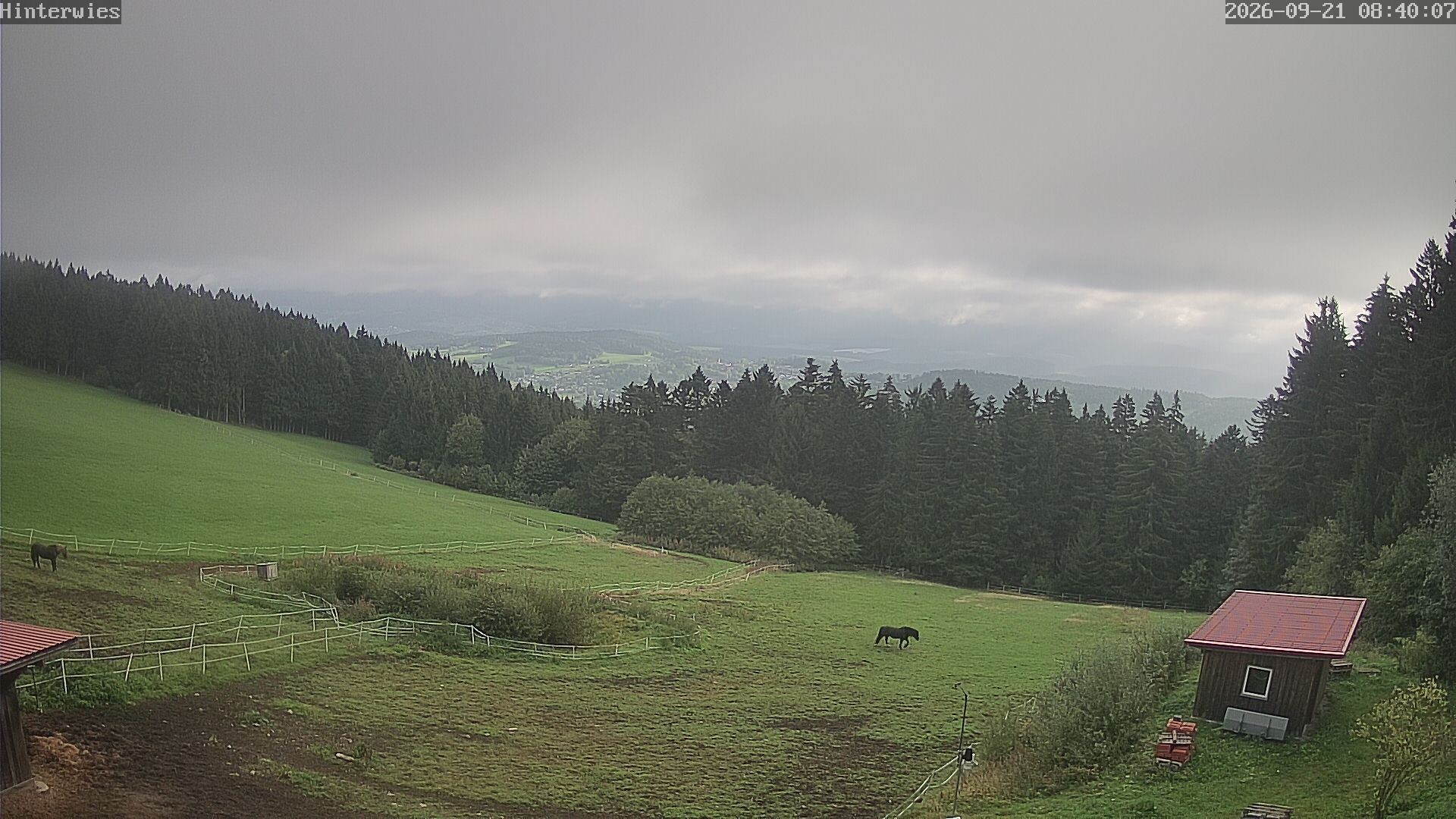 Archived image Webcam Weather Station St. Englmar-Hinterwies