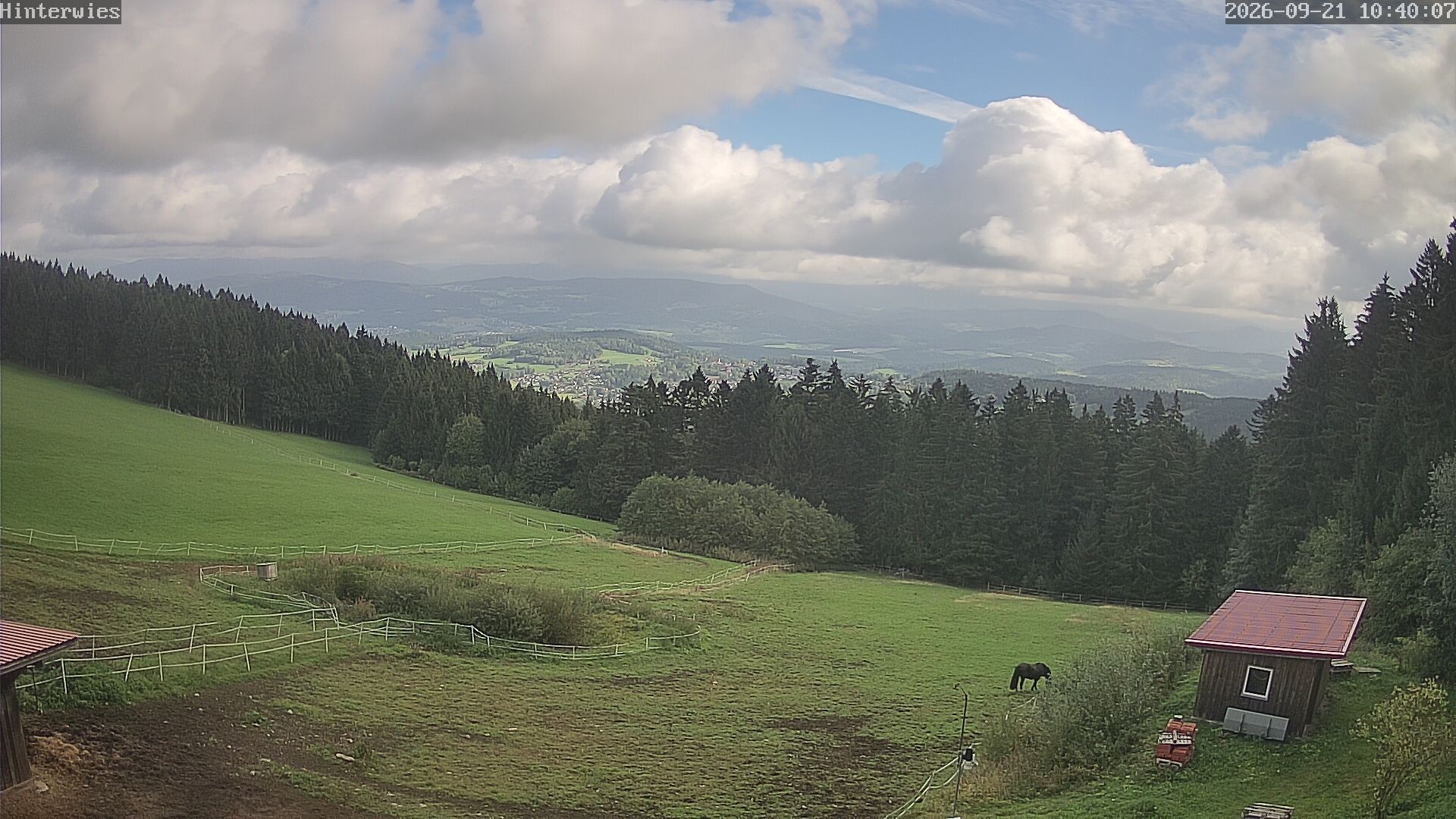 Archived image Webcam Weather Station St. Englmar-Hinterwies