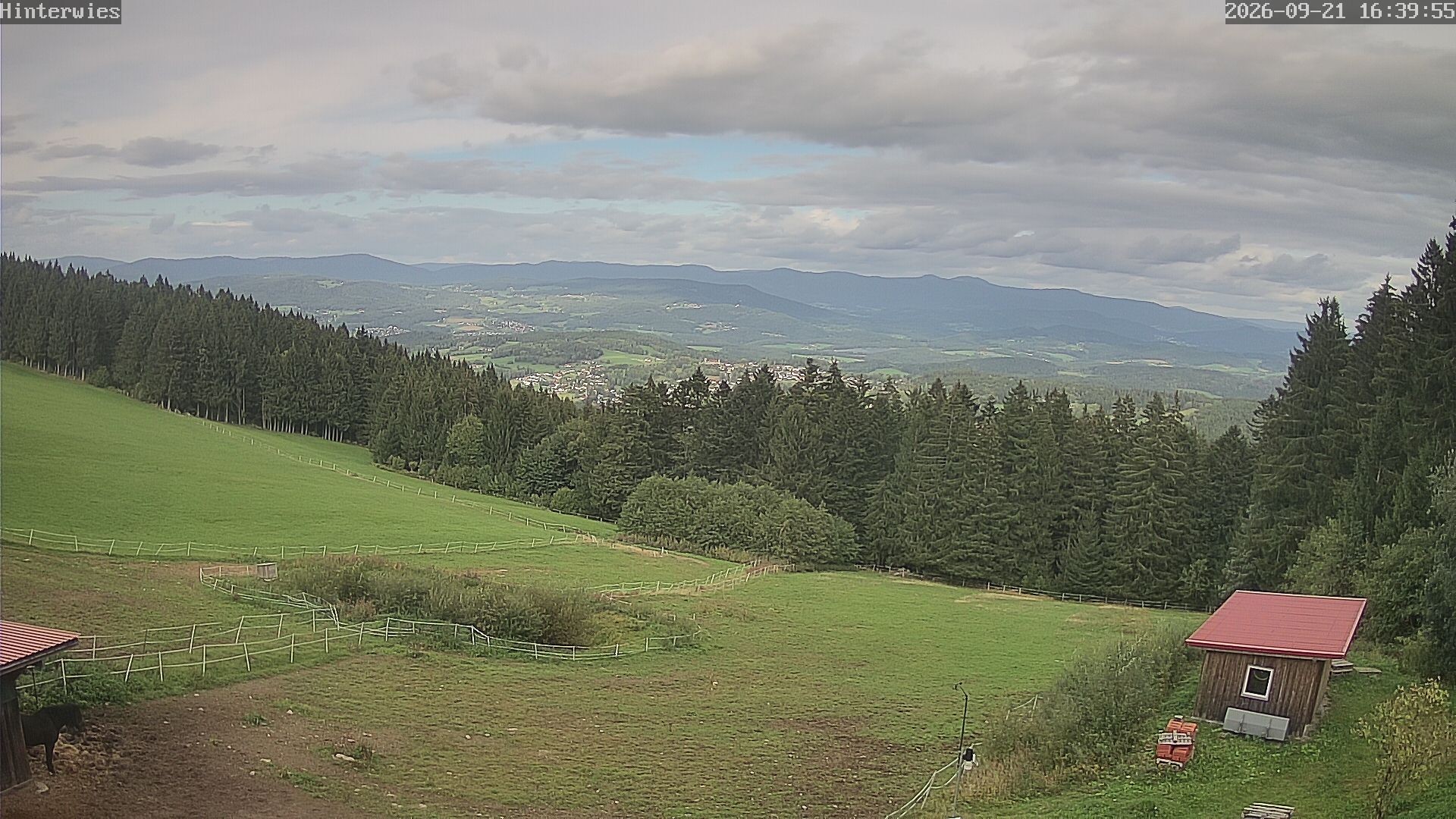 Archived image Webcam Weather Station St. Englmar-Hinterwies
