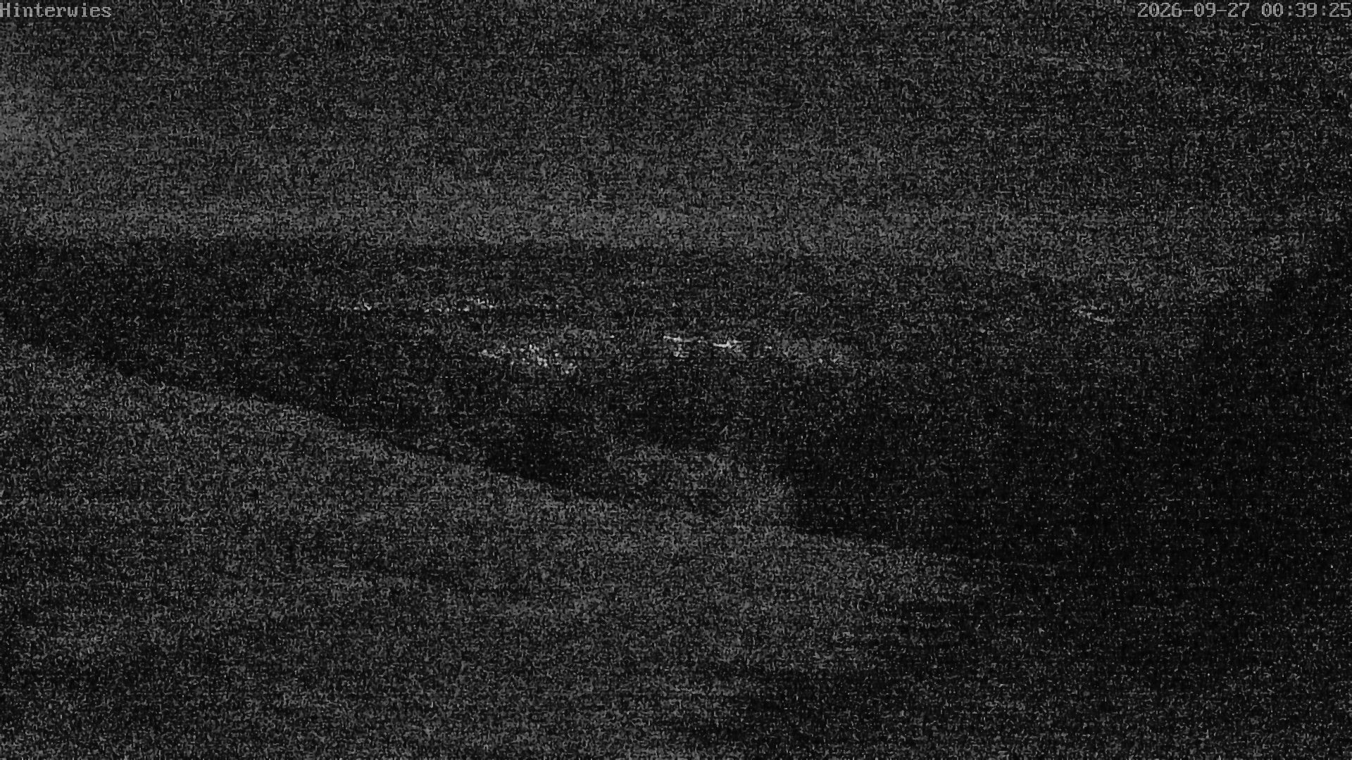Archiv Foto Webcam Wetterstation Sankt Englmar-Hinterwies