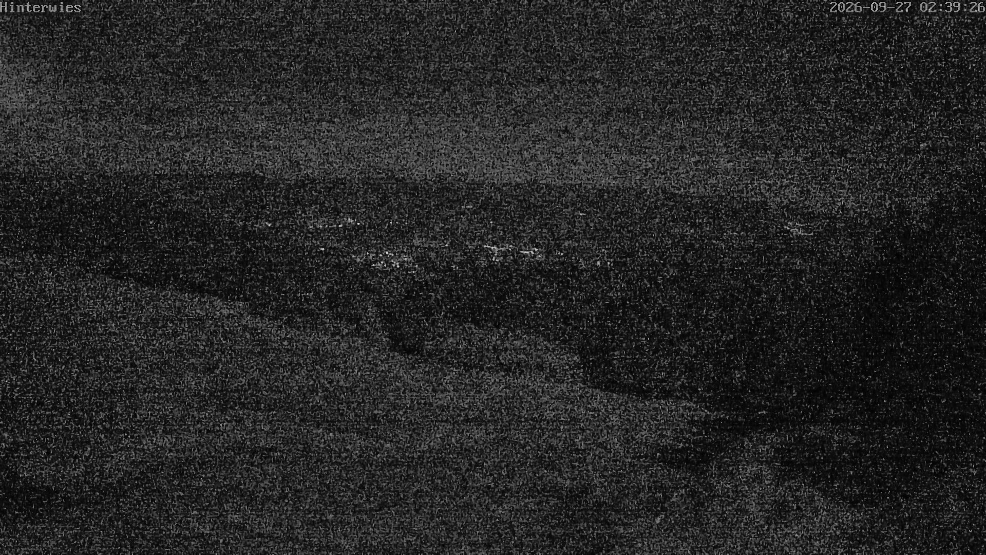 Archiv Foto Webcam Wetterstation Sankt Englmar-Hinterwies