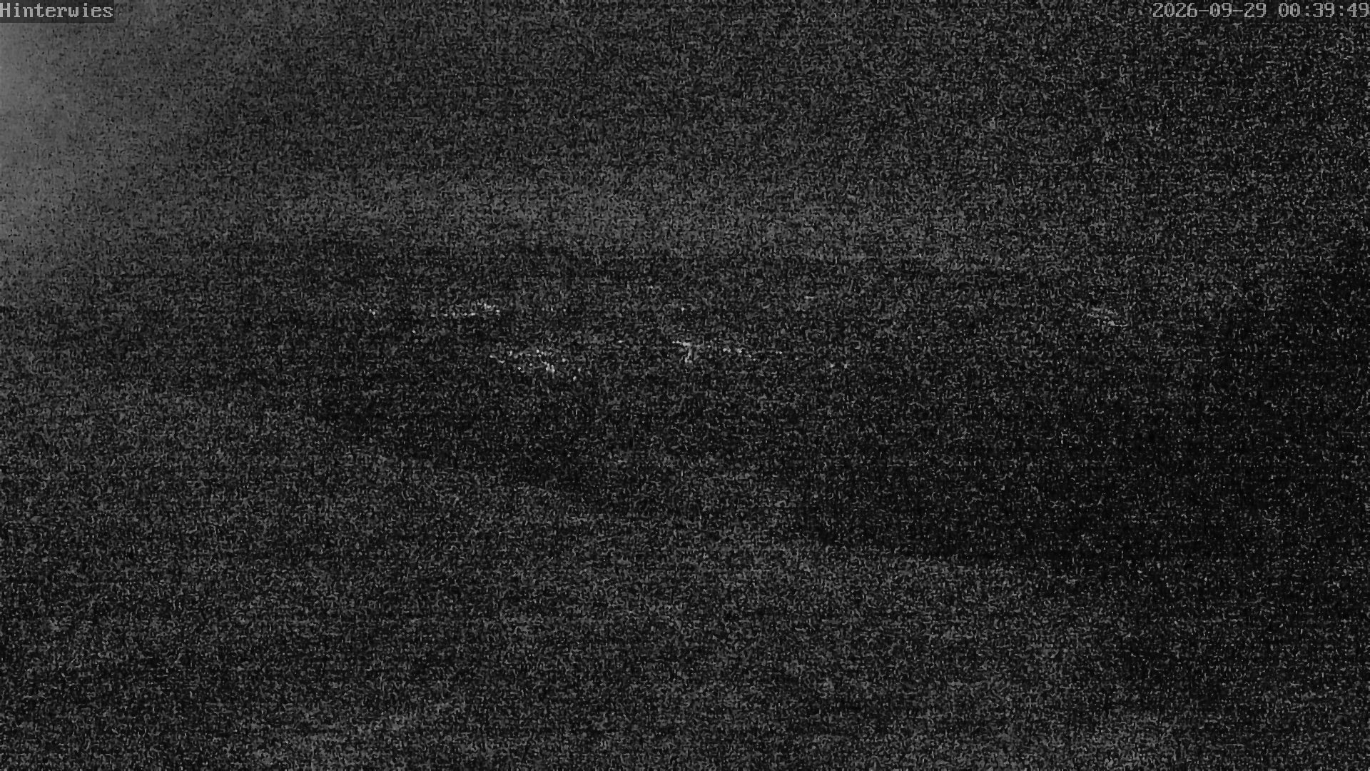 Archiv Foto Webcam Wetterstation Sankt Englmar-Hinterwies