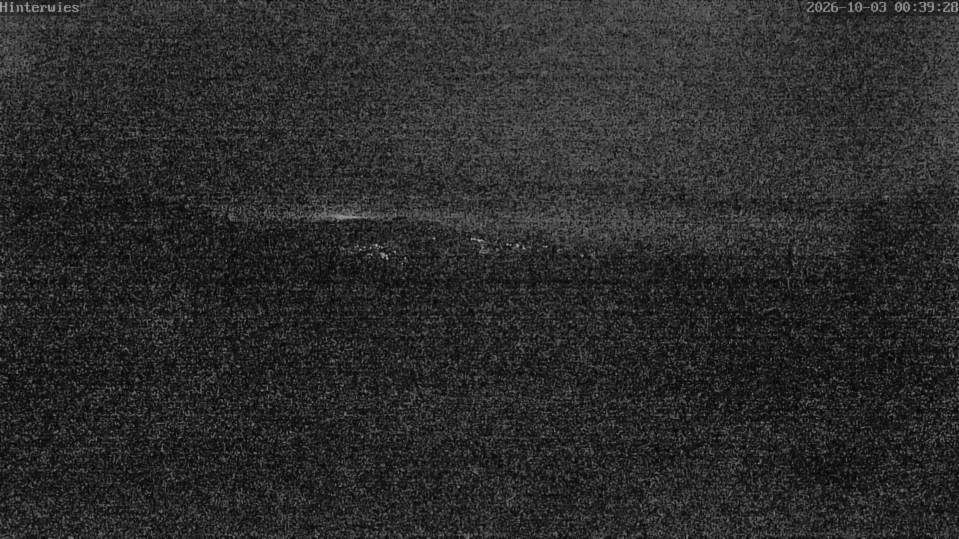Archiv Foto Webcam Wetterstation Sankt Englmar-Hinterwies