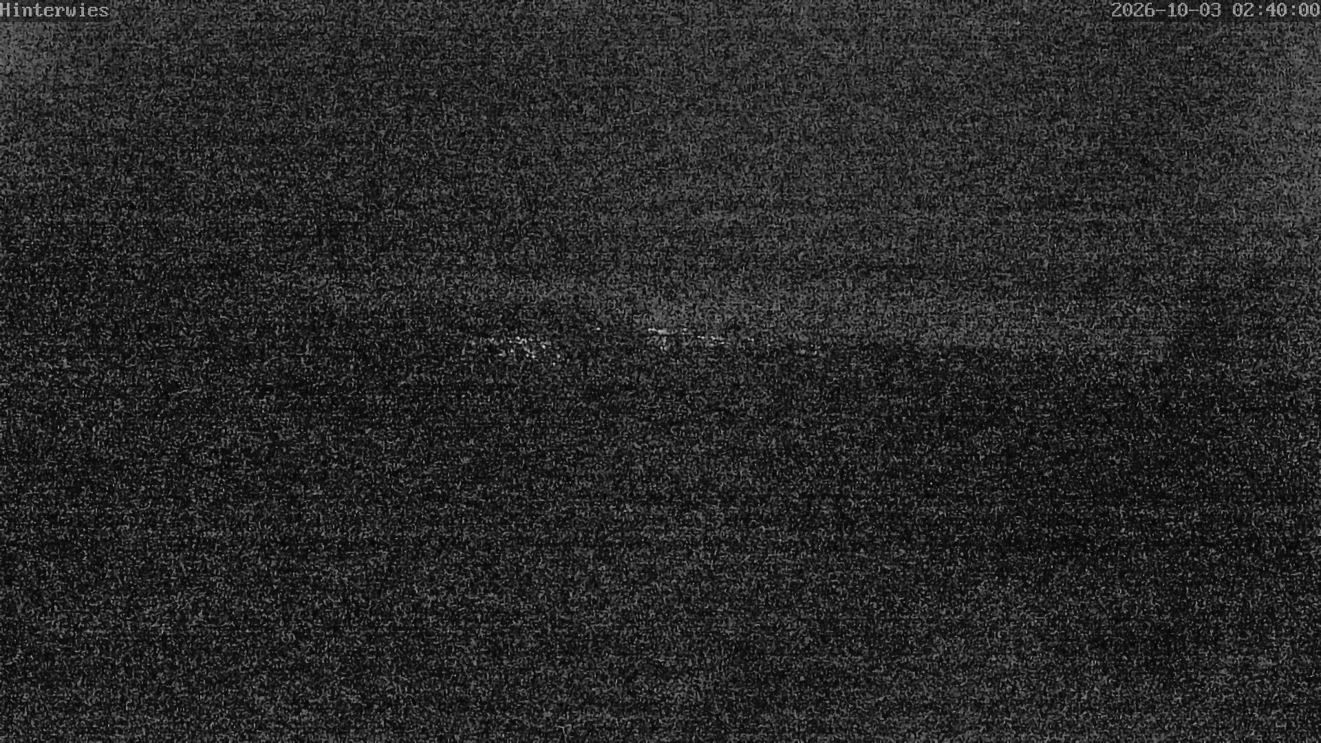 Archiv Foto Webcam Wetterstation Sankt Englmar-Hinterwies