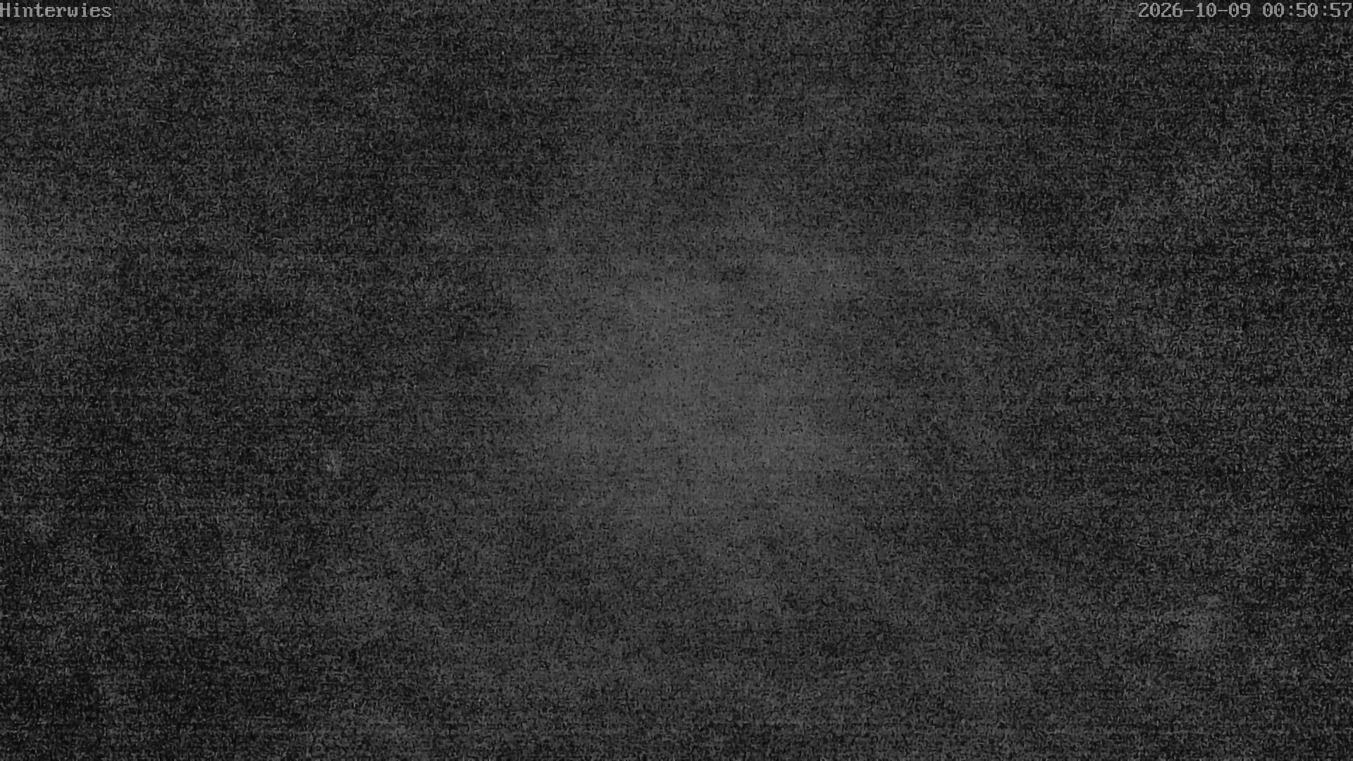 Archiv Foto Webcam Wetterstation Sankt Englmar-Hinterwies