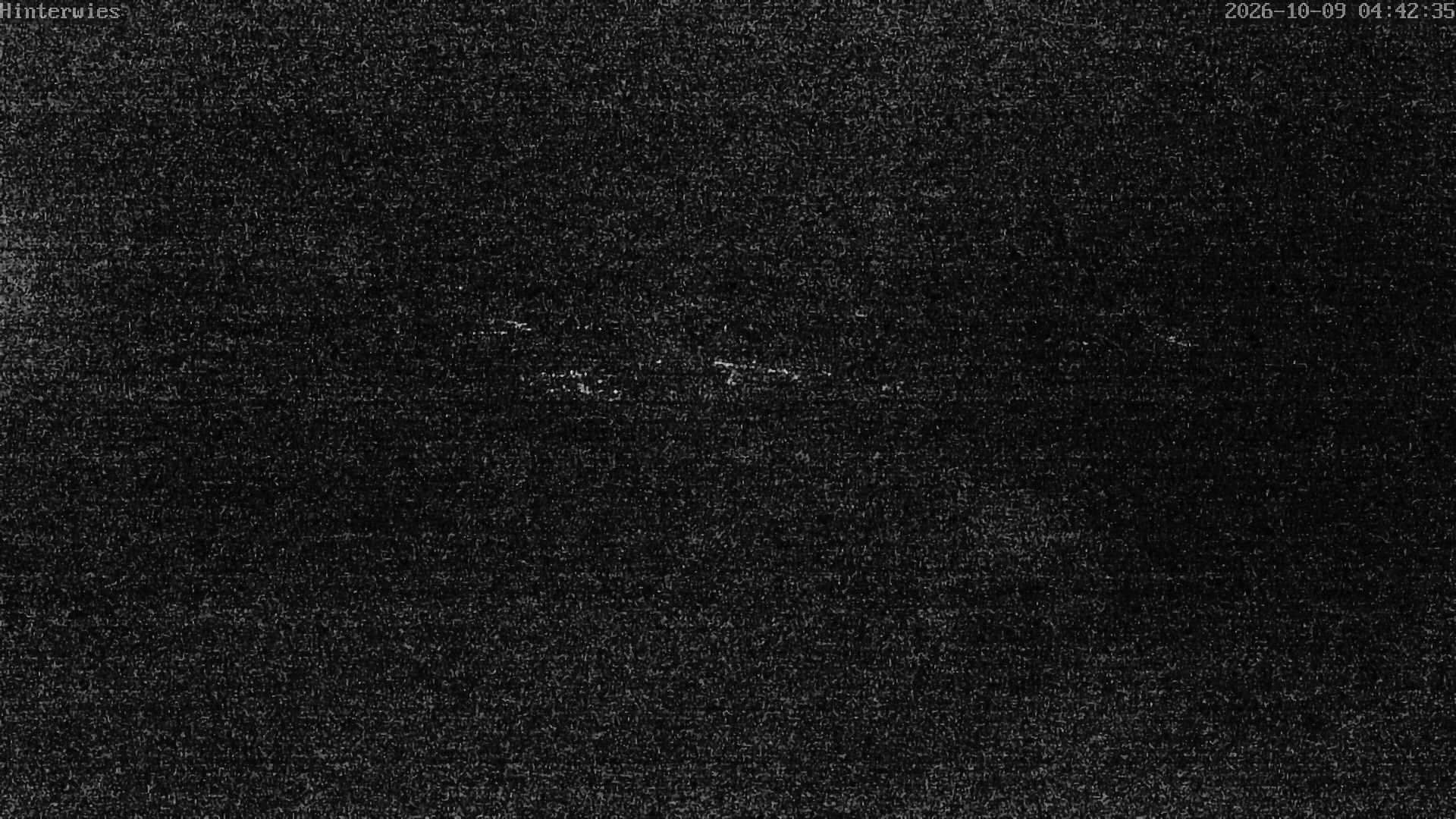 Archiv Foto Webcam Wetterstation Sankt Englmar-Hinterwies