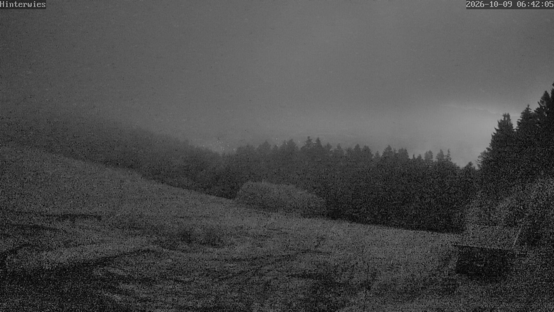 Archiv Foto Webcam Wetterstation Sankt Englmar-Hinterwies