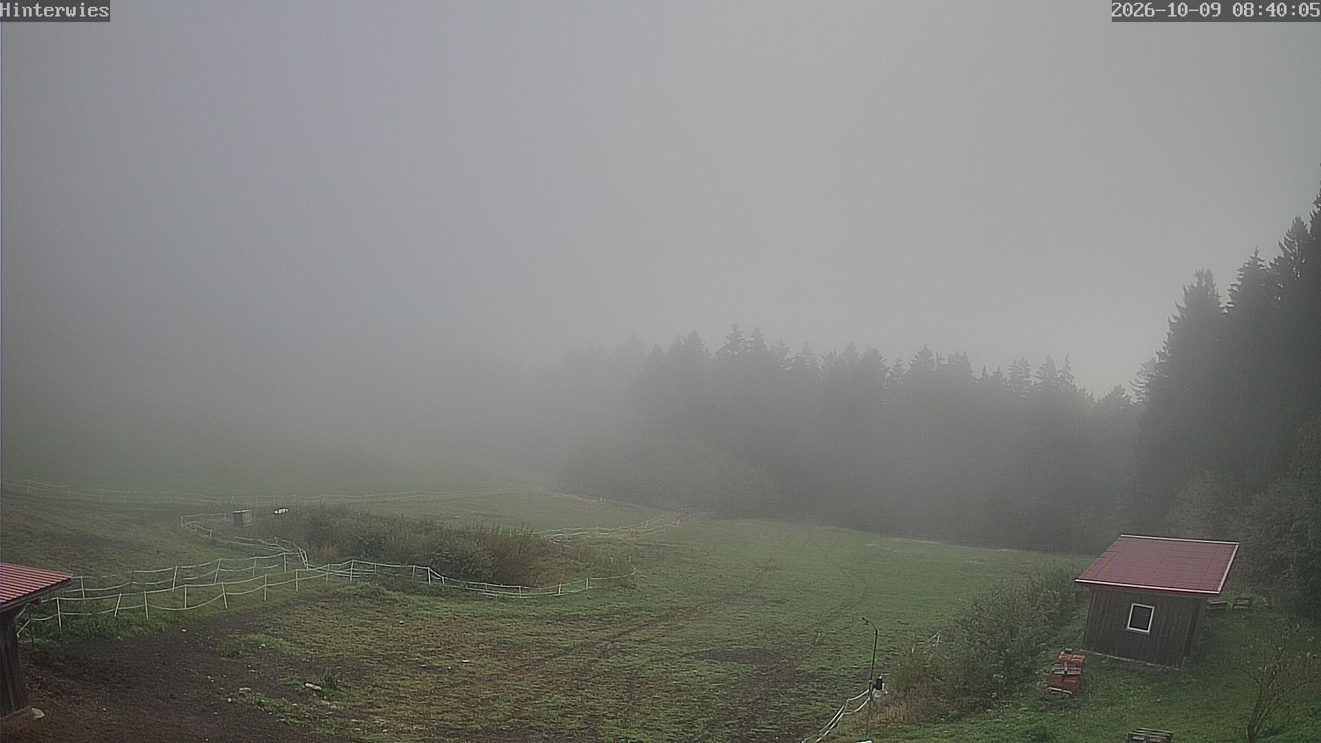 Archiv Foto Webcam Wetterstation Sankt Englmar-Hinterwies