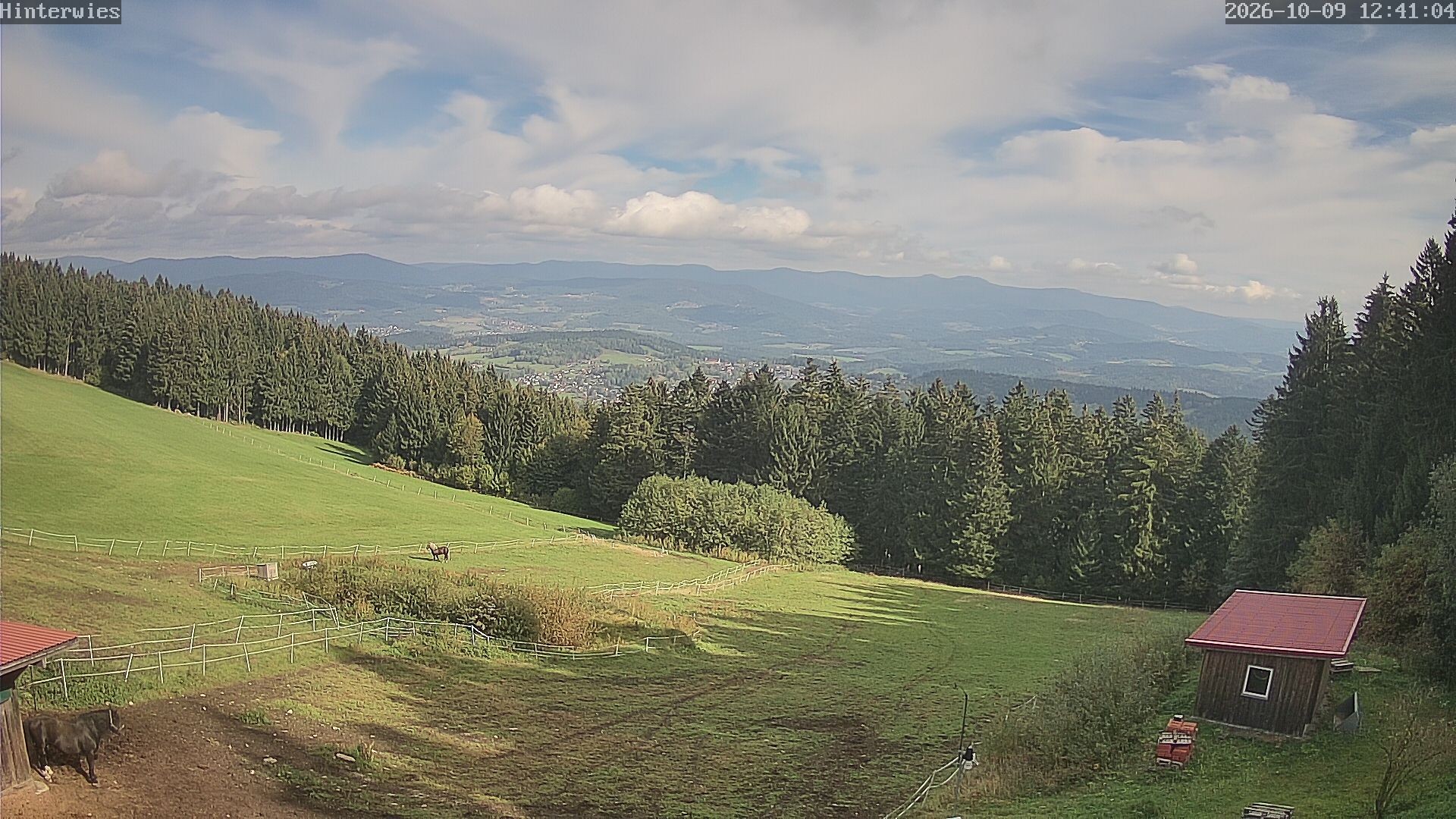 Archiv Foto Webcam Wetterstation Sankt Englmar-Hinterwies