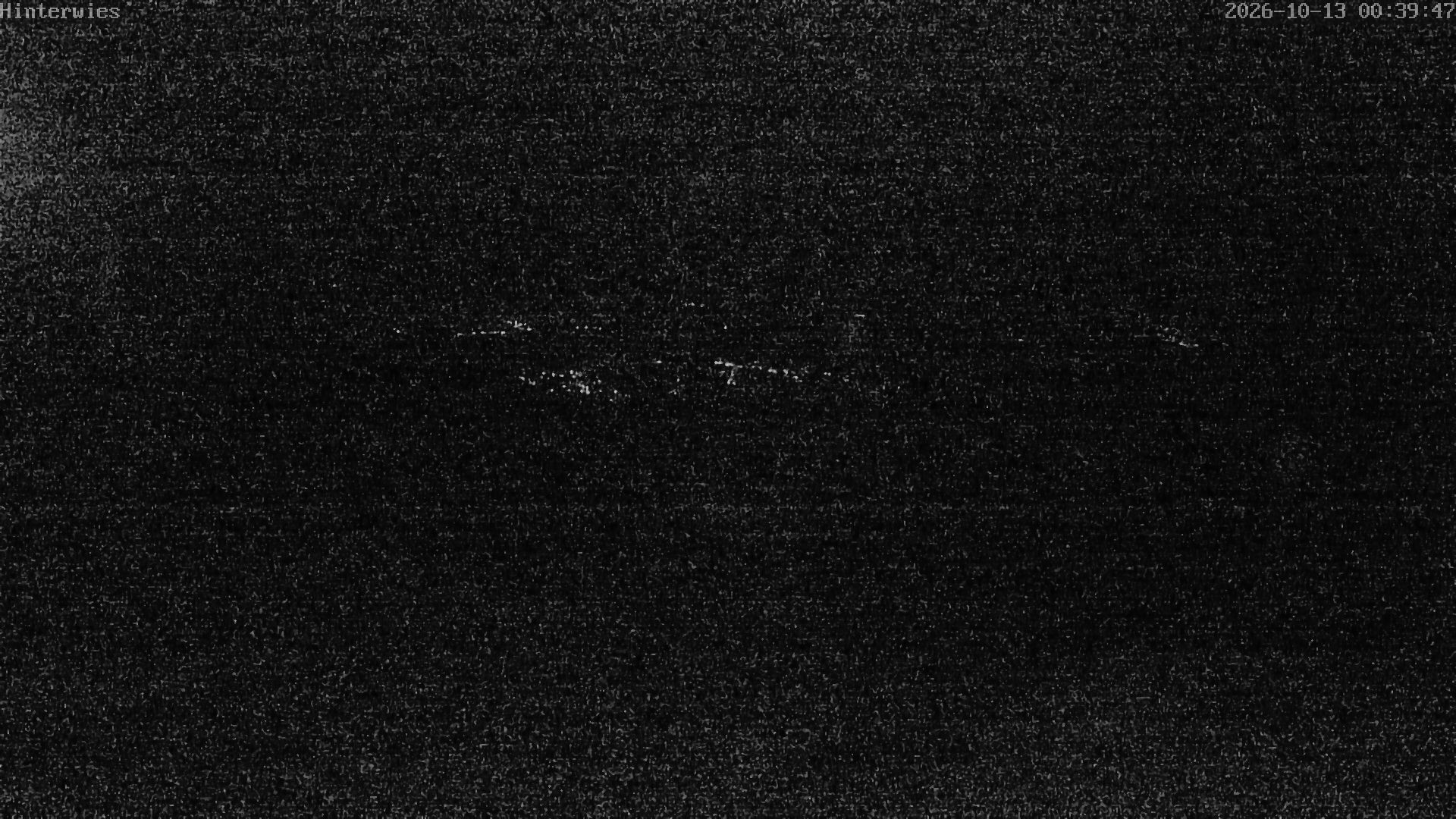 Archiv Foto Webcam Wetterstation Sankt Englmar-Hinterwies