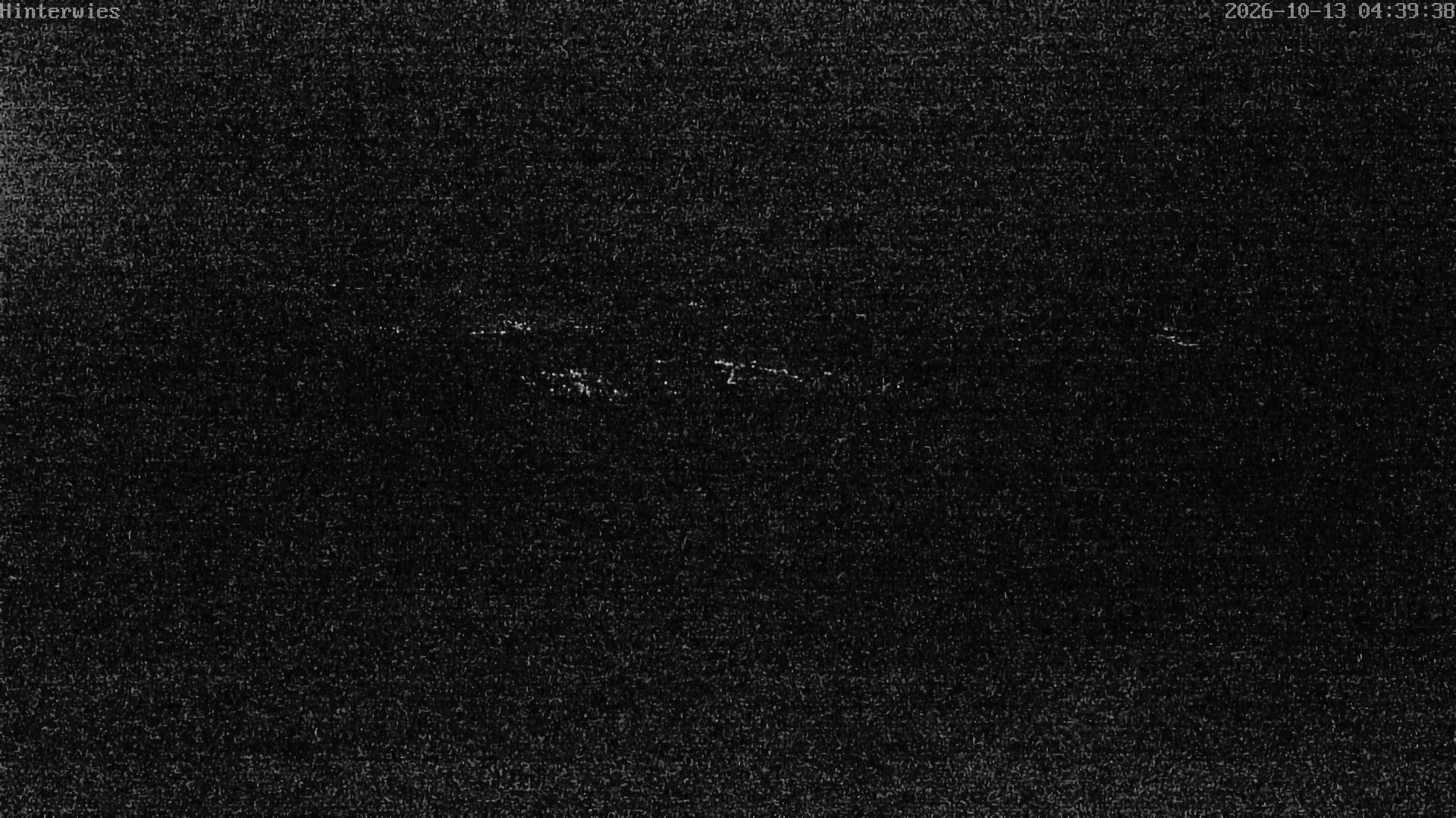 Archiv Foto Webcam Wetterstation Sankt Englmar-Hinterwies