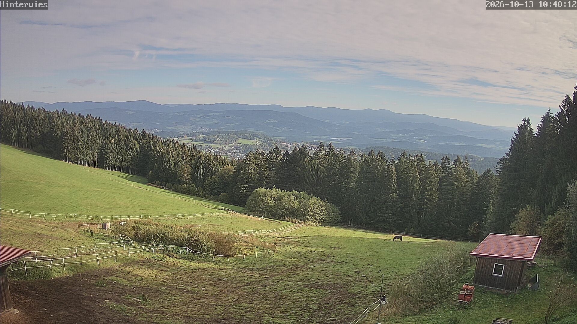 Archiv Foto Webcam Wetterstation Sankt Englmar-Hinterwies