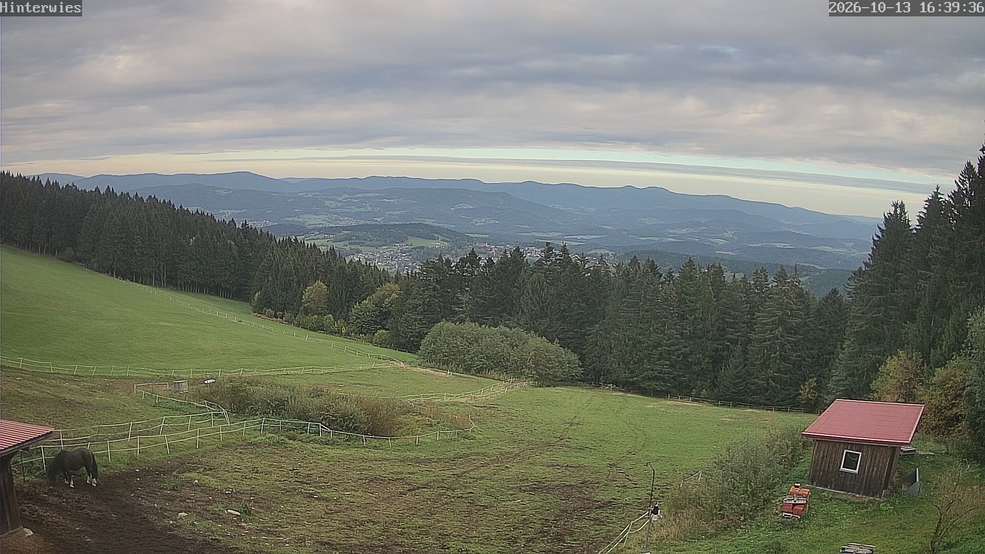 Archiv Foto Webcam Wetterstation Sankt Englmar-Hinterwies