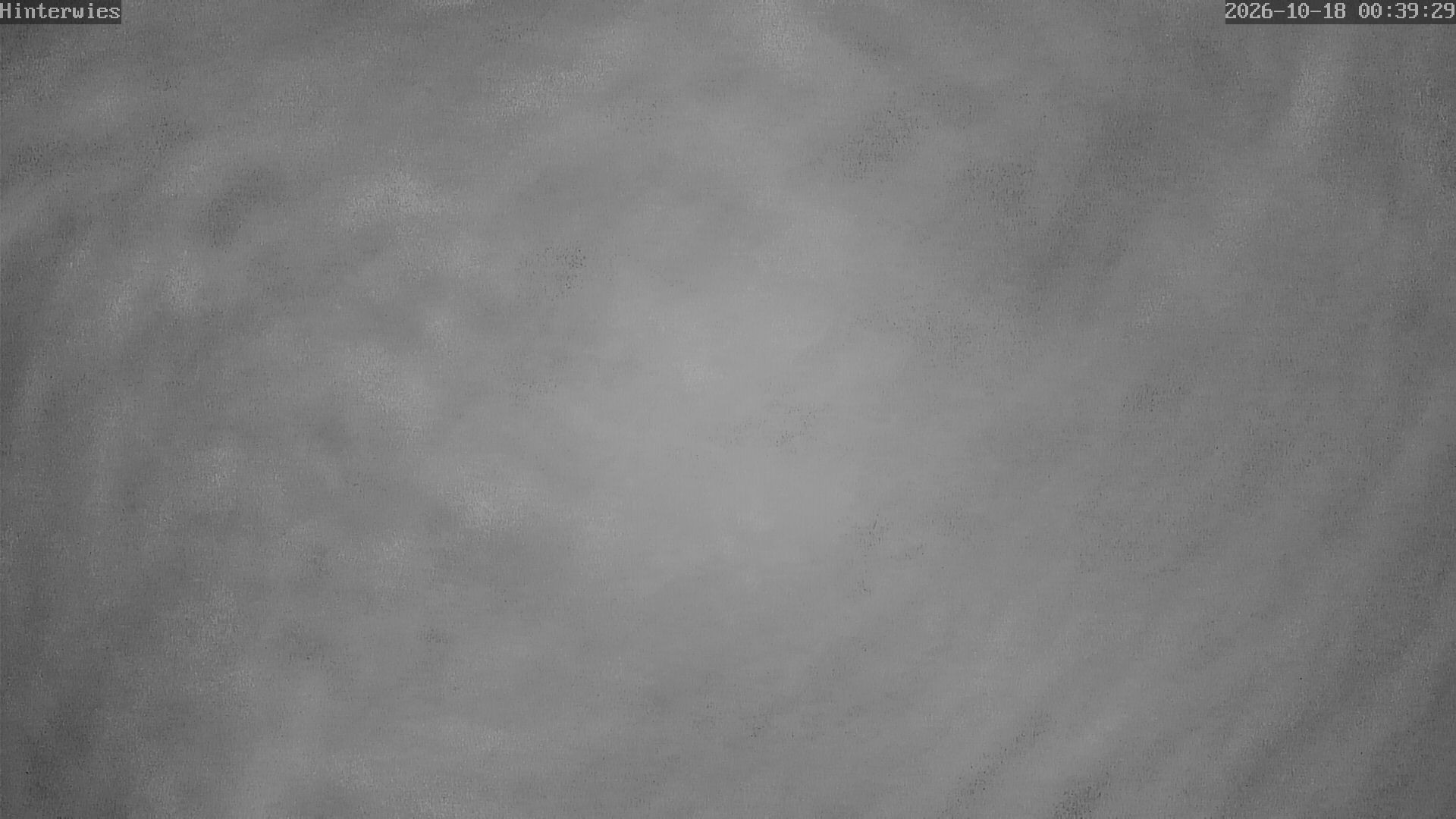 Archiv Foto Webcam Wetterstation Sankt Englmar-Hinterwies