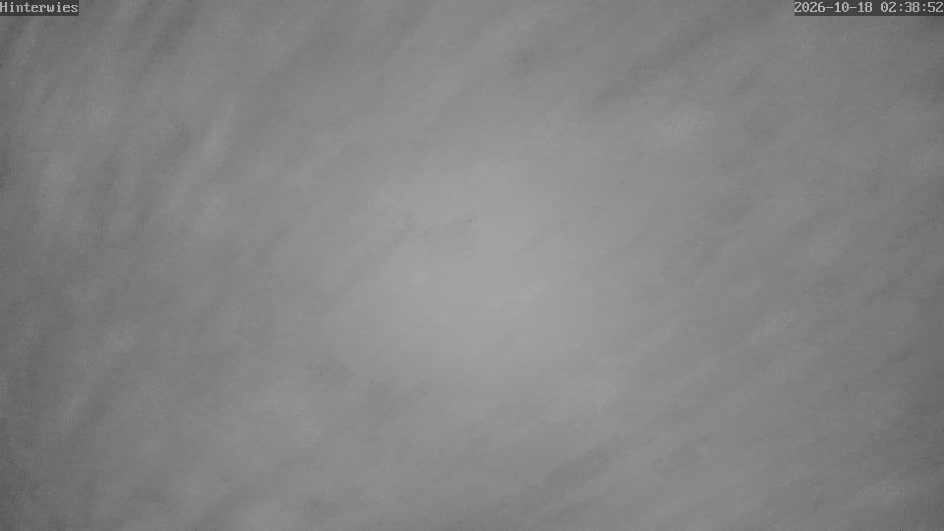 Archiv Foto Webcam Wetterstation Sankt Englmar-Hinterwies