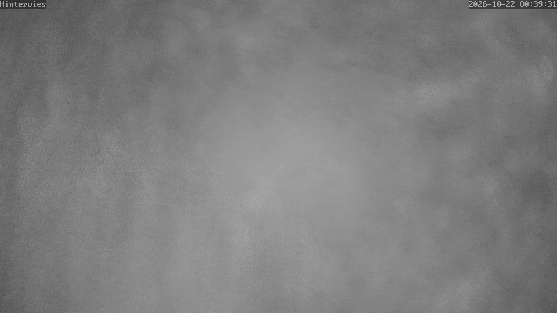 Archiv Foto Webcam Wetterstation Sankt Englmar-Hinterwies